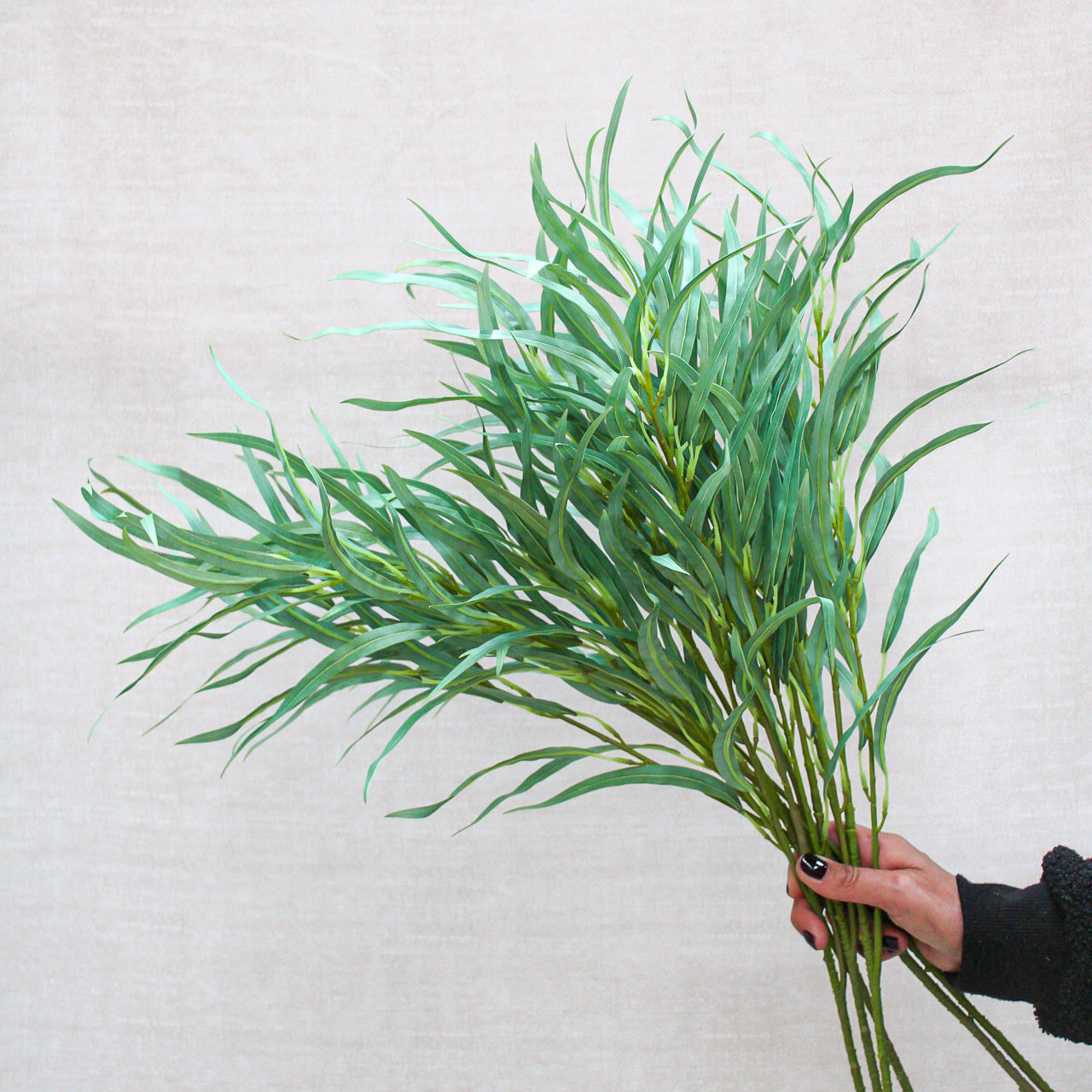Long Leaf Eucalyptus Stem