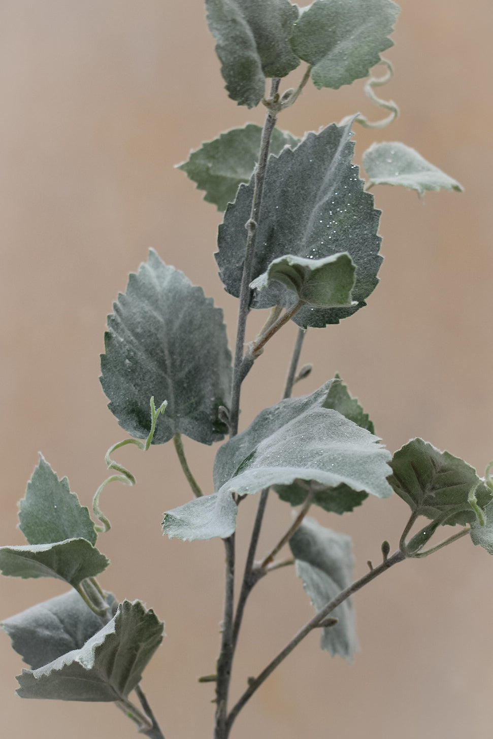 Flocked Hop Leaf Spray