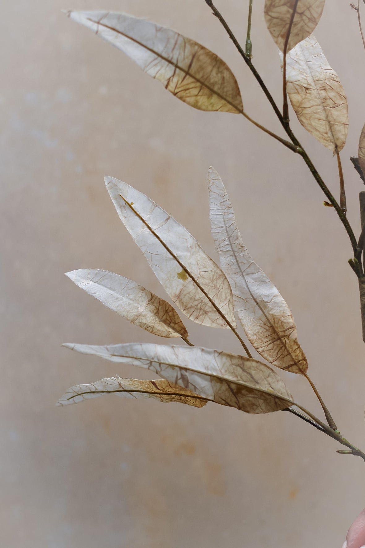Faux Nude Dried Leaf Stem