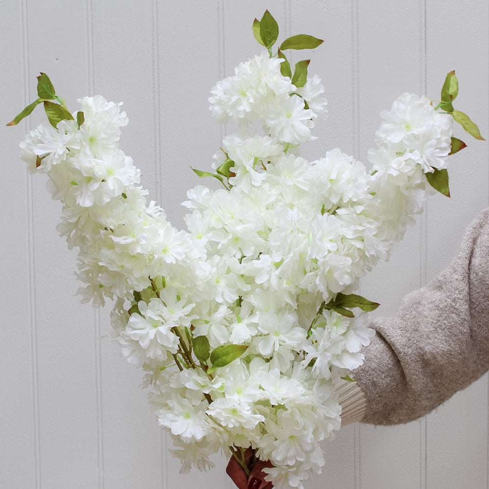 White Cherry Blossom Stem