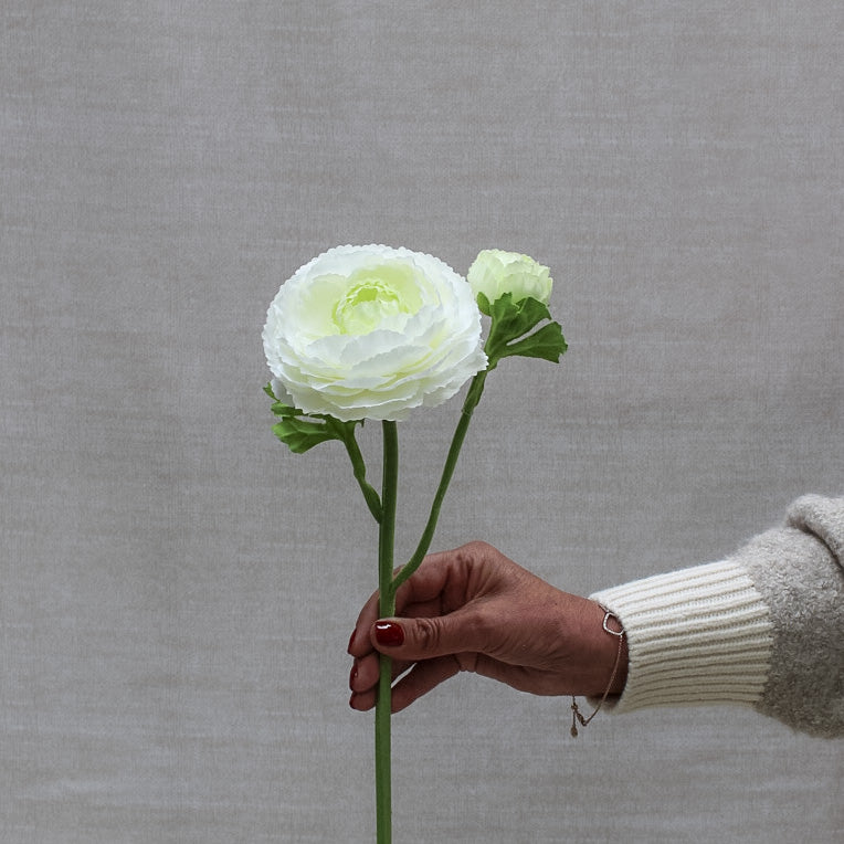 White Ranunculus Spray