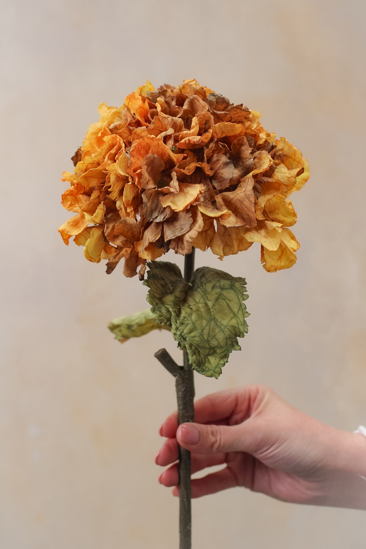 Faux Honey Dried Touch Ruffle Hydrangea
