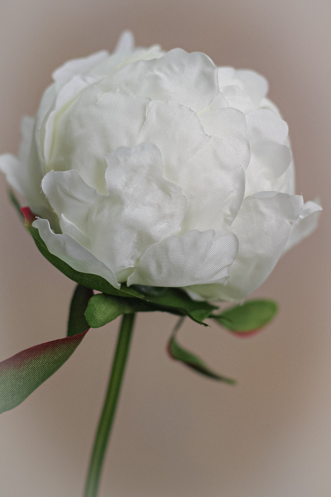 Faux White Bud Peony Stem