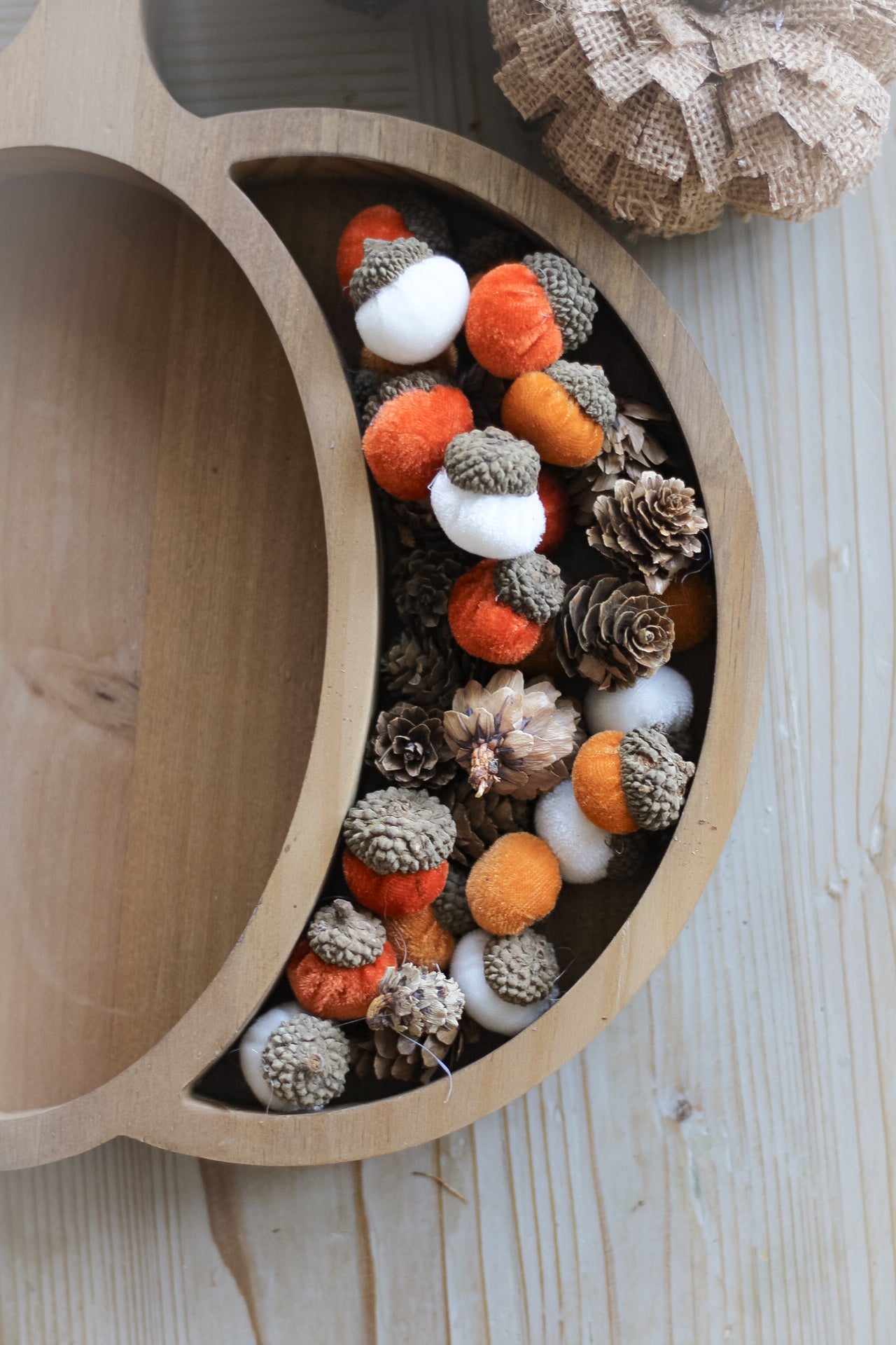 White & Orange Acorn & Pinecones