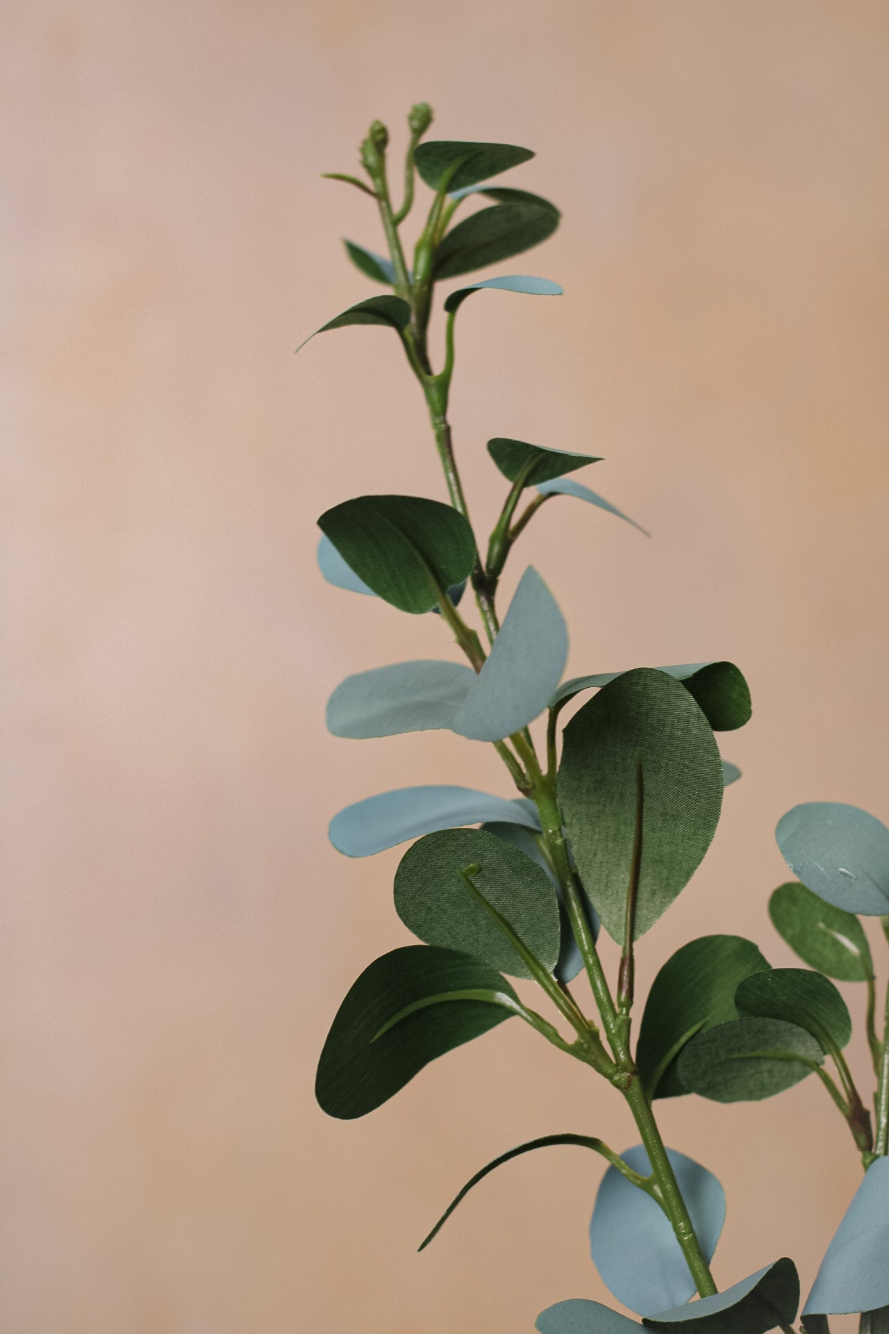 Faux Grey Toned Eucalyptus Stem