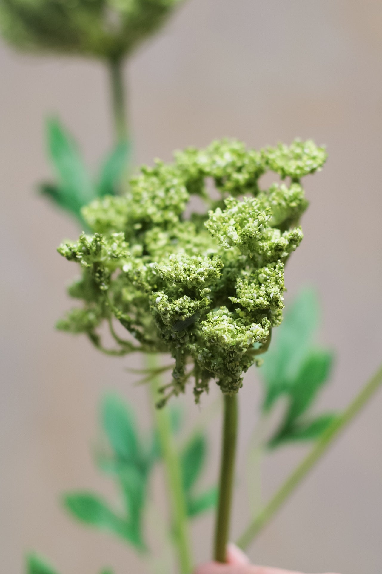 Luxury Faux Cow Parsley Spray