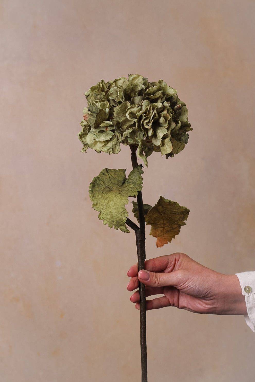Faux Sage Dried Touch Ruffle Hydrangea