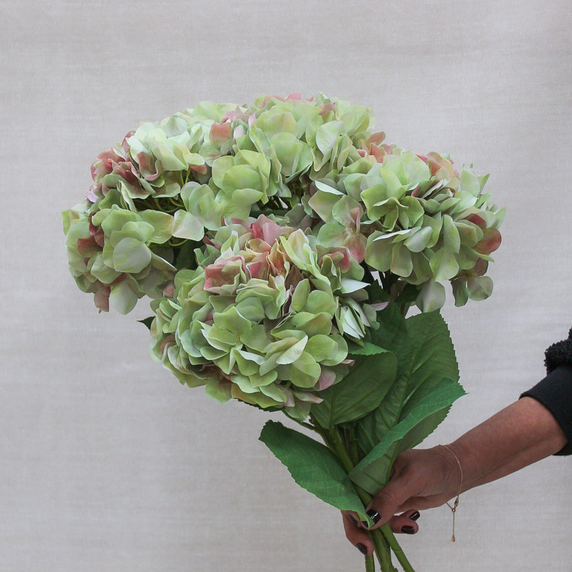 French Hydrangea Stem