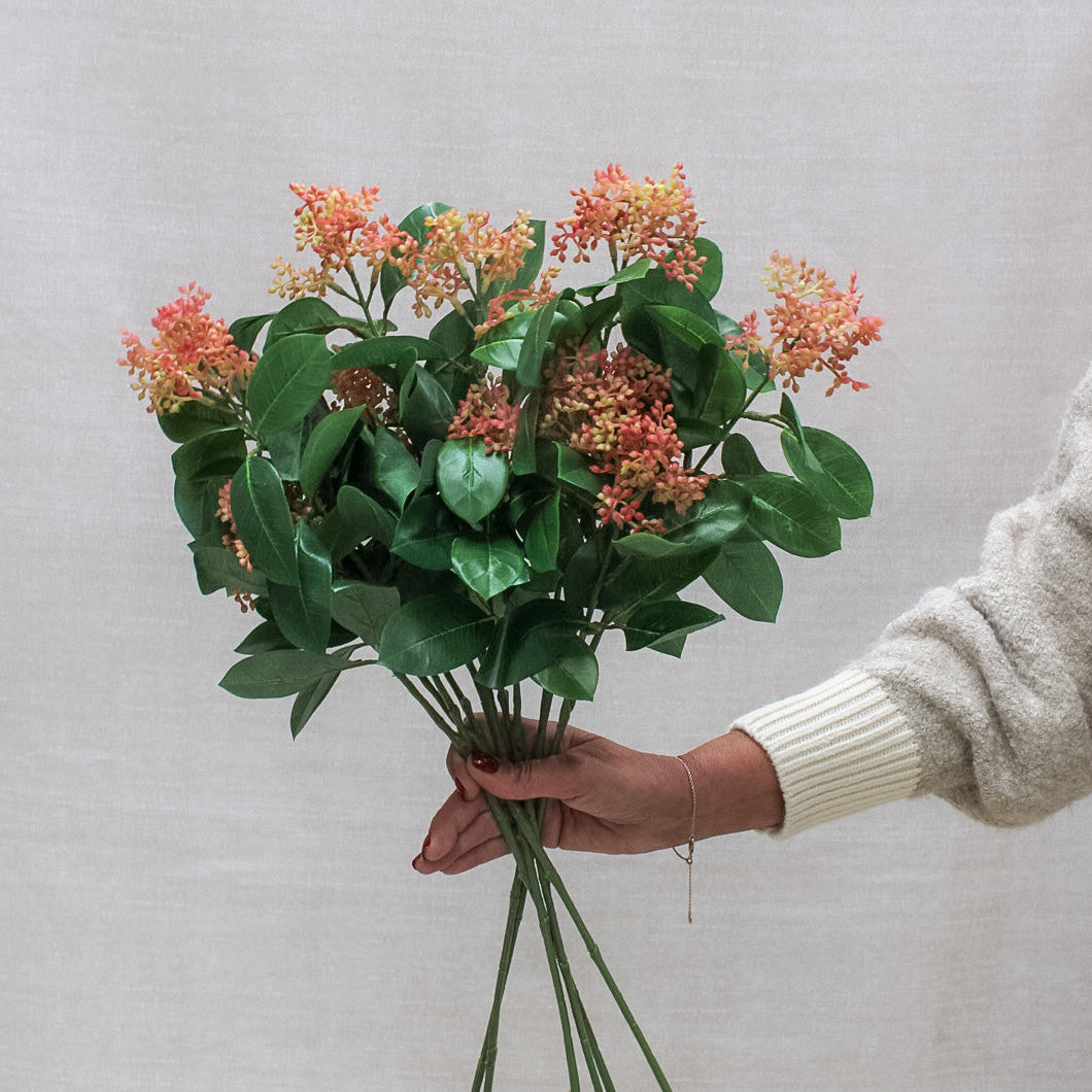Pink Skimmia Stem