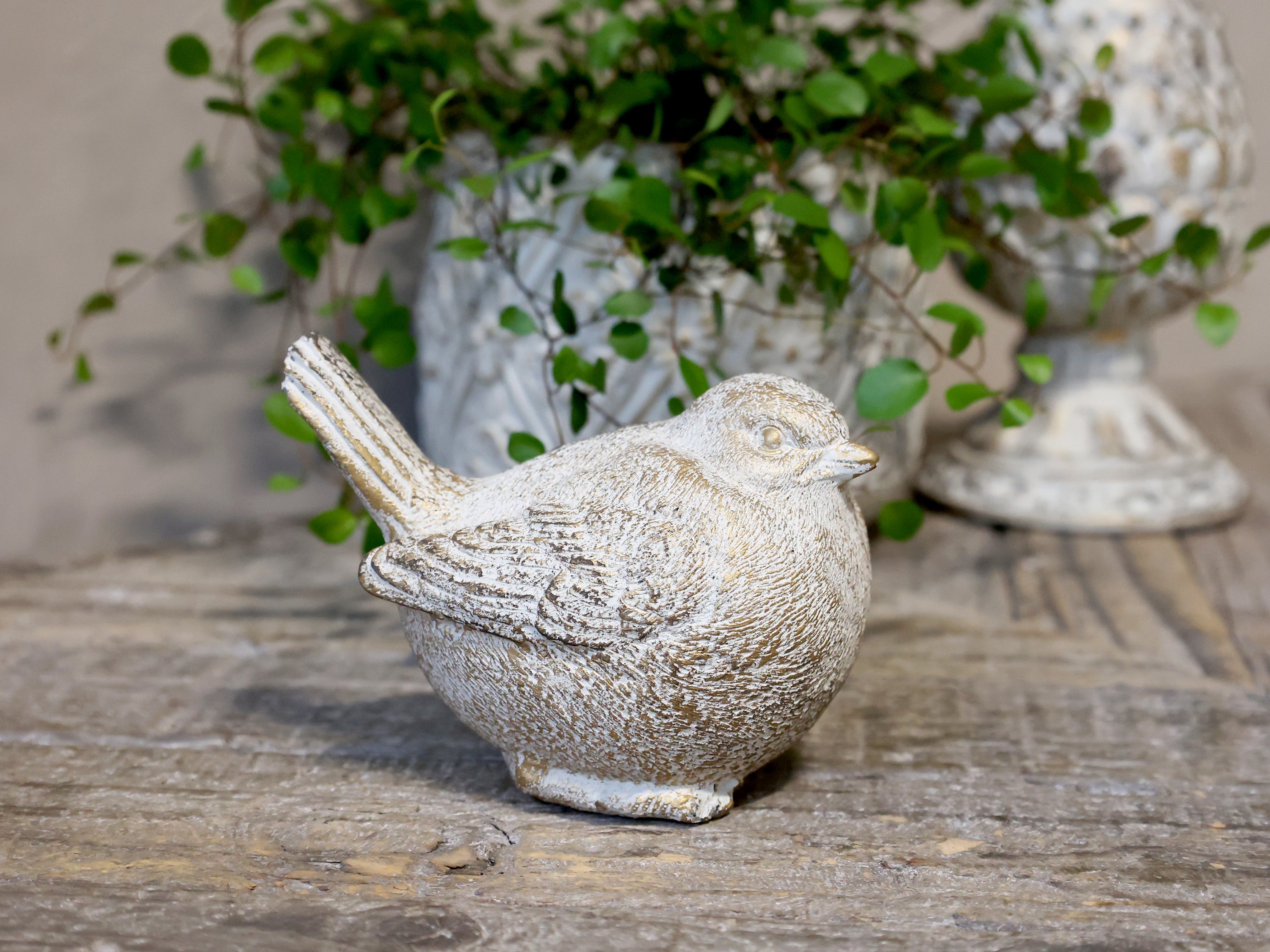 Small Golden Patterned Bird