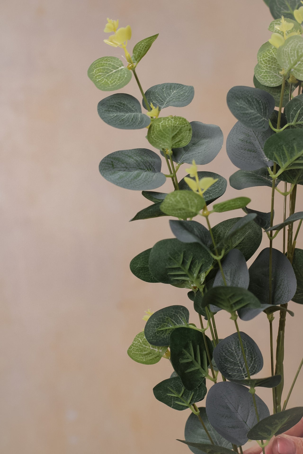 Faux Variegated Cineraria Eucalyptus Stem