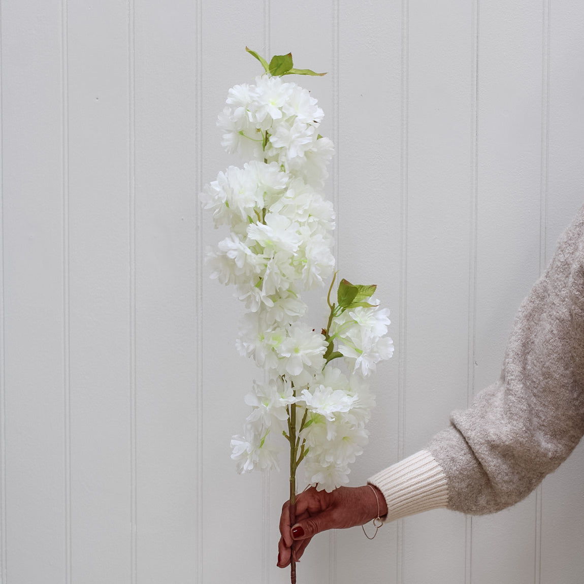 White Cherry Blossom Stem