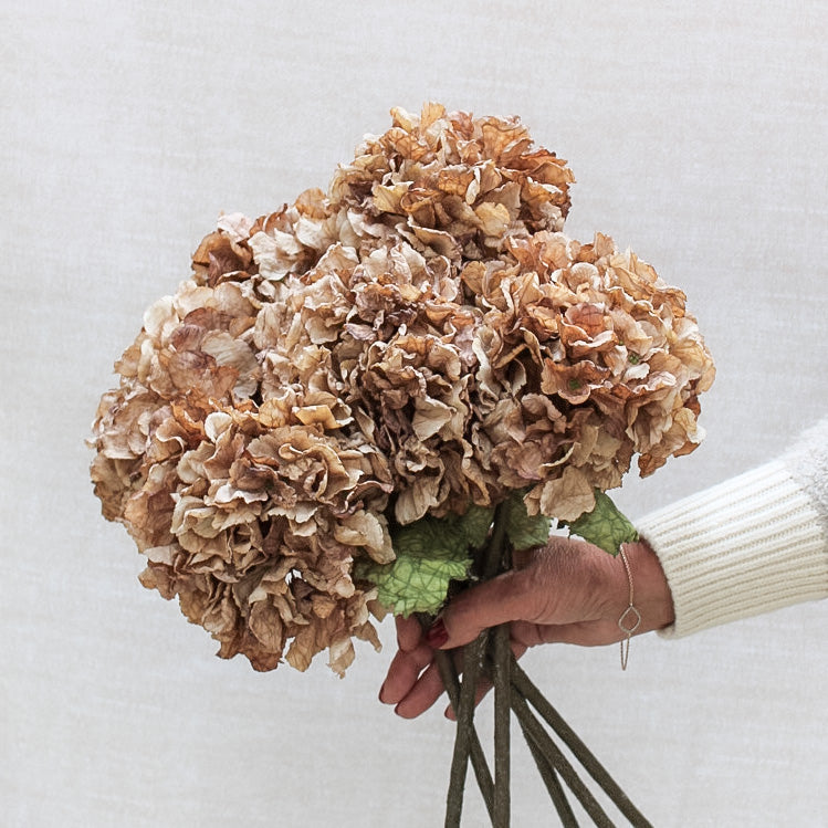 Cappuccino Dried Touch Ruffle Hydrangea | Bundle of 3