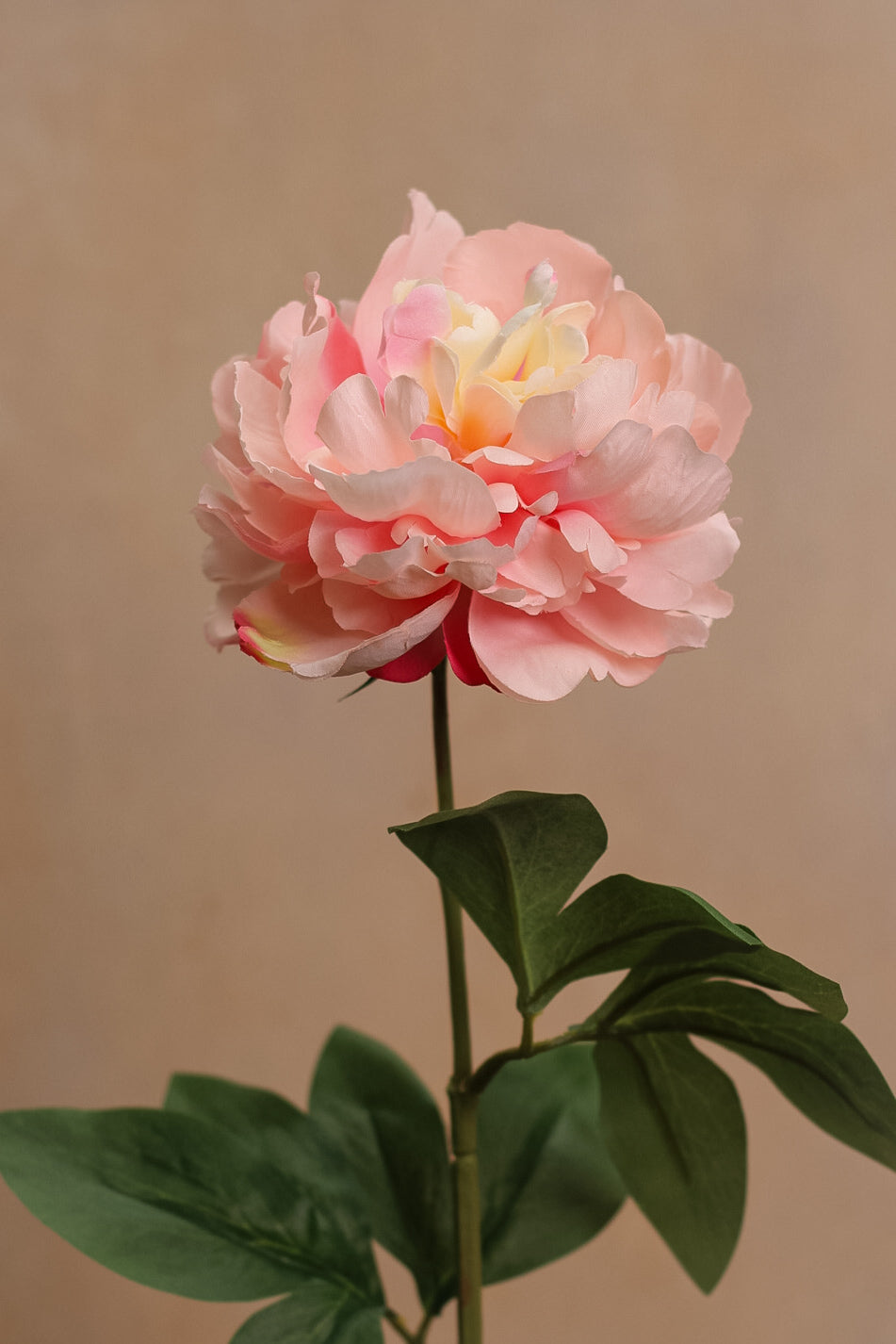 Faux Pink Sorbet Fluffy Peony Stem