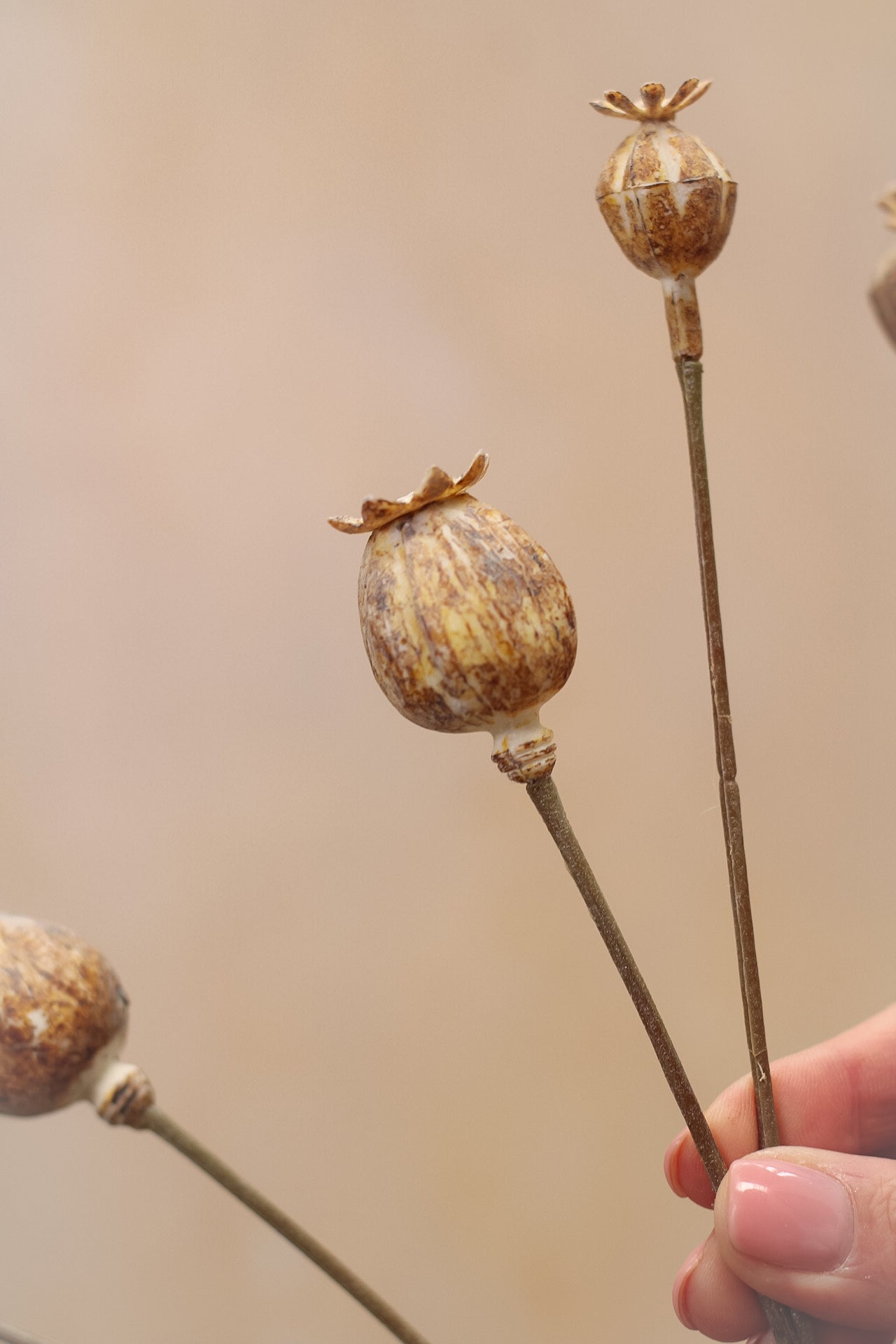 Faux Poppy Head Spray