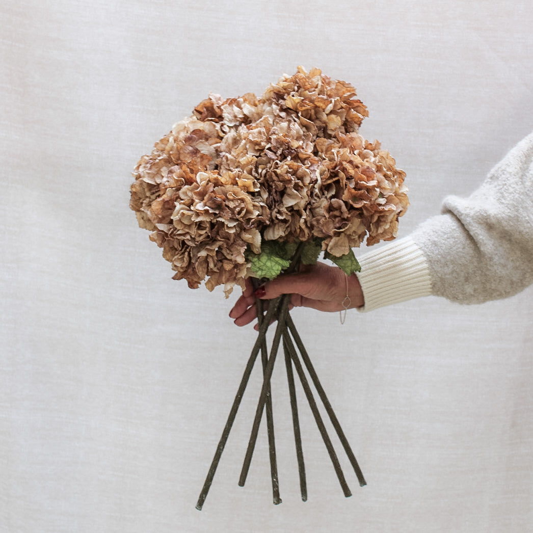 Cappuccino Dried Touch Ruffle Hydrangea | Bundle of 3