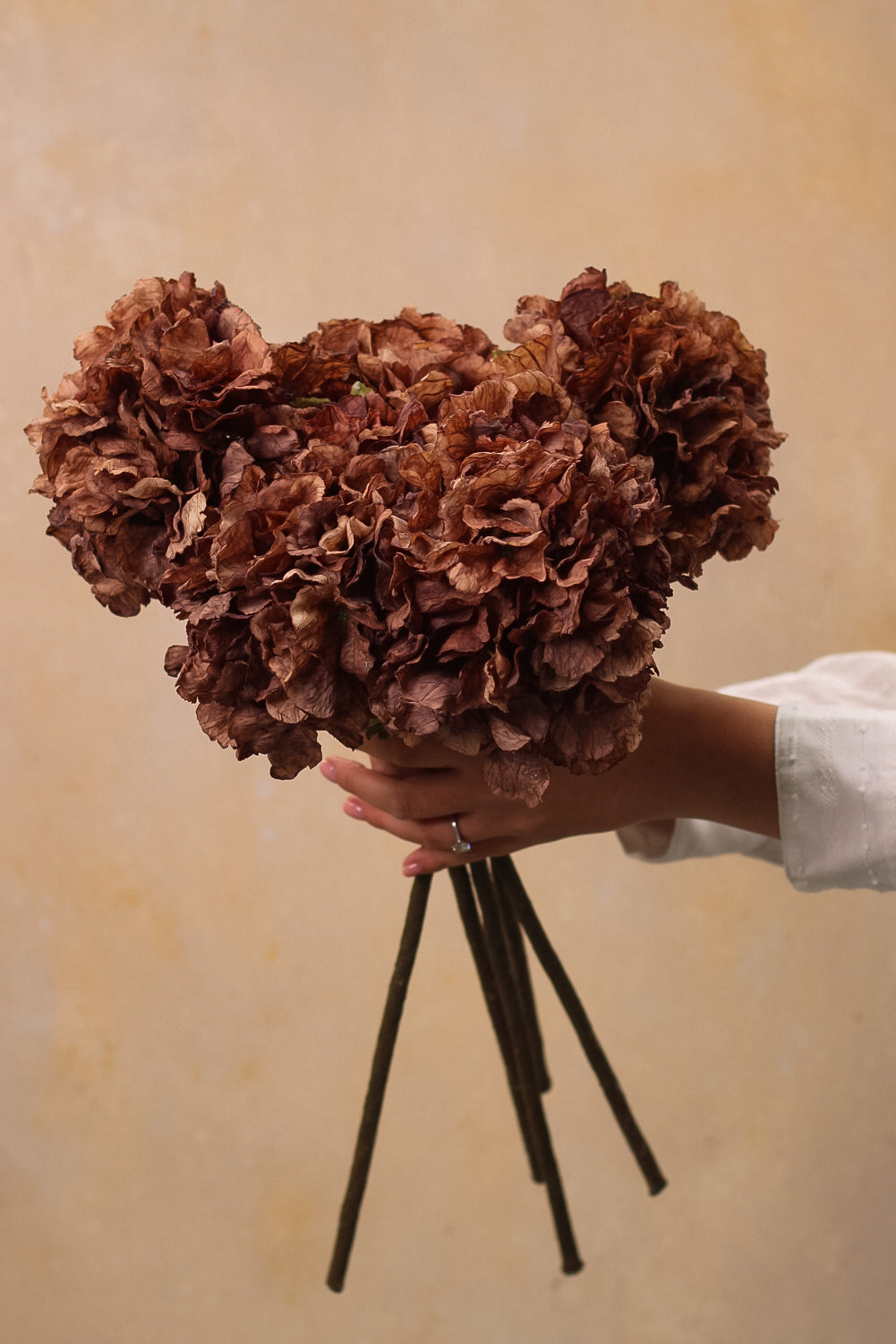 Faux Mocha Dried Touch Ruffle Hydrangea