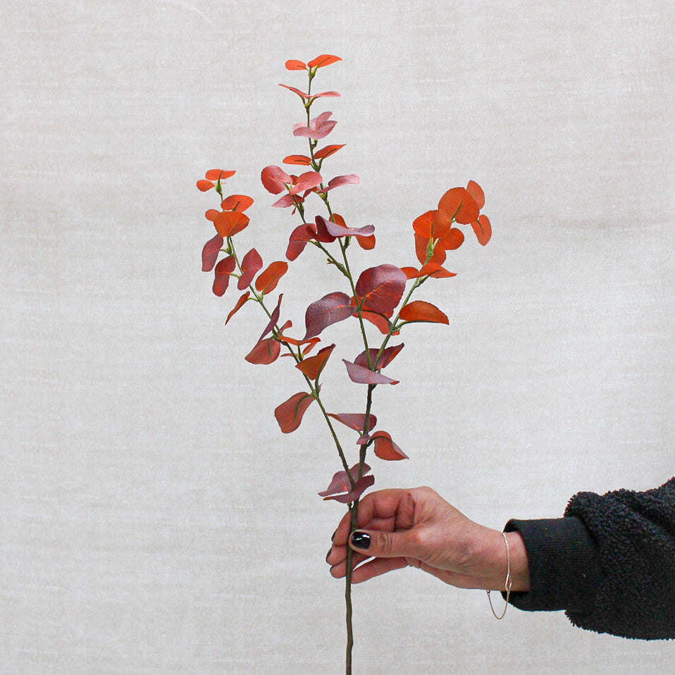 Autumn Sunset Eucalyptus Stem