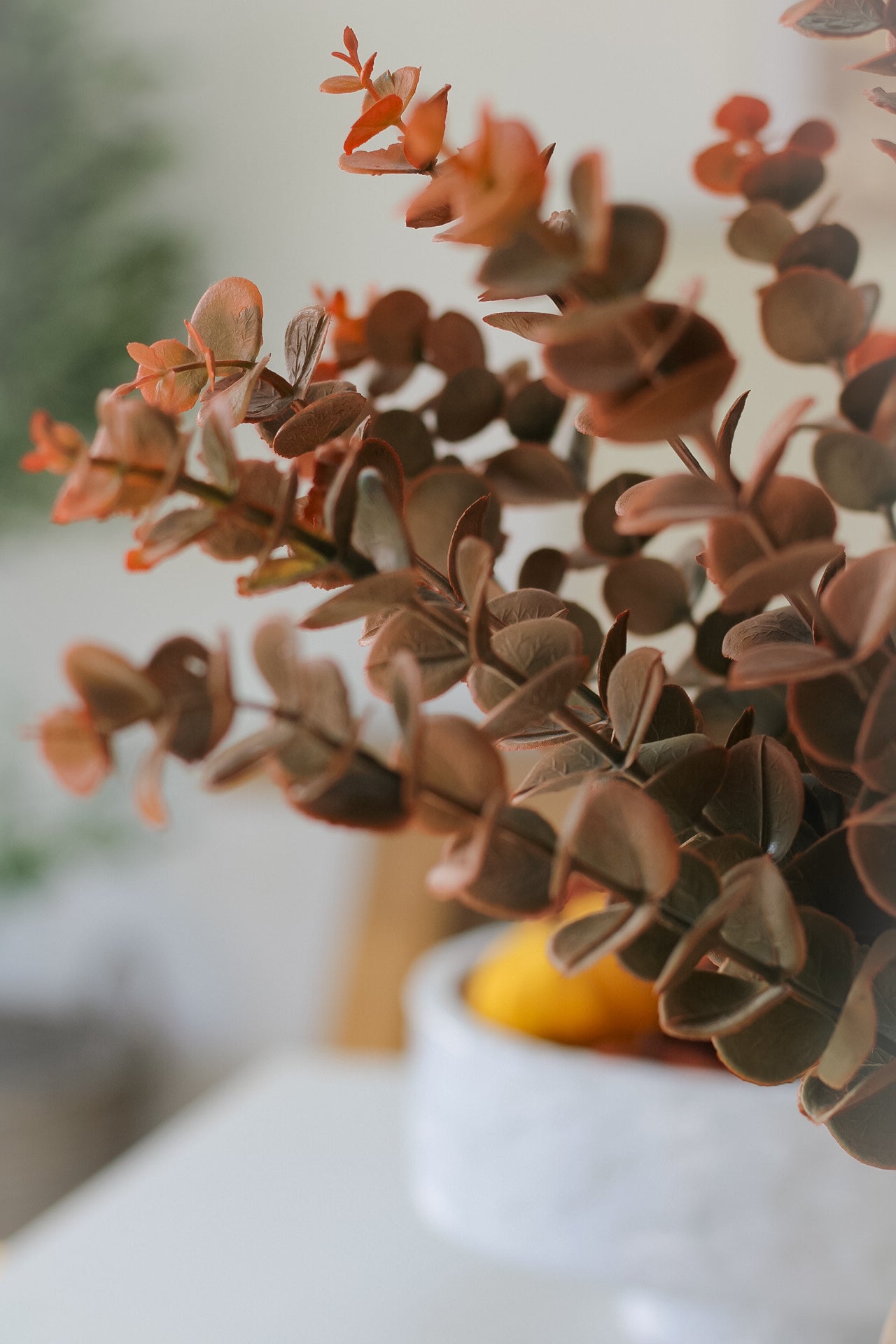Rustic Deep Burnt Orange Eucalyptus Stem