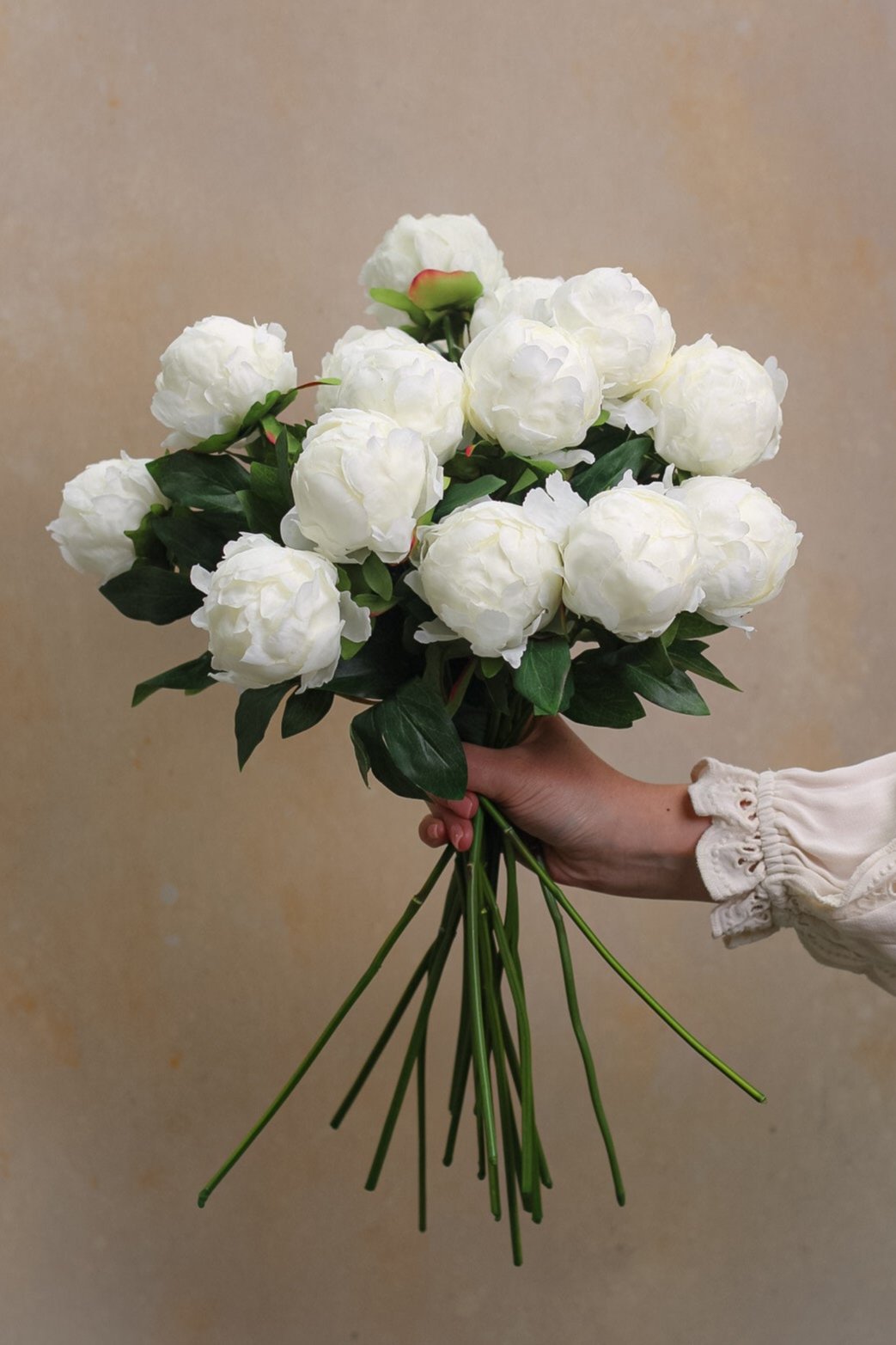 Faux White Bud Peony Stem