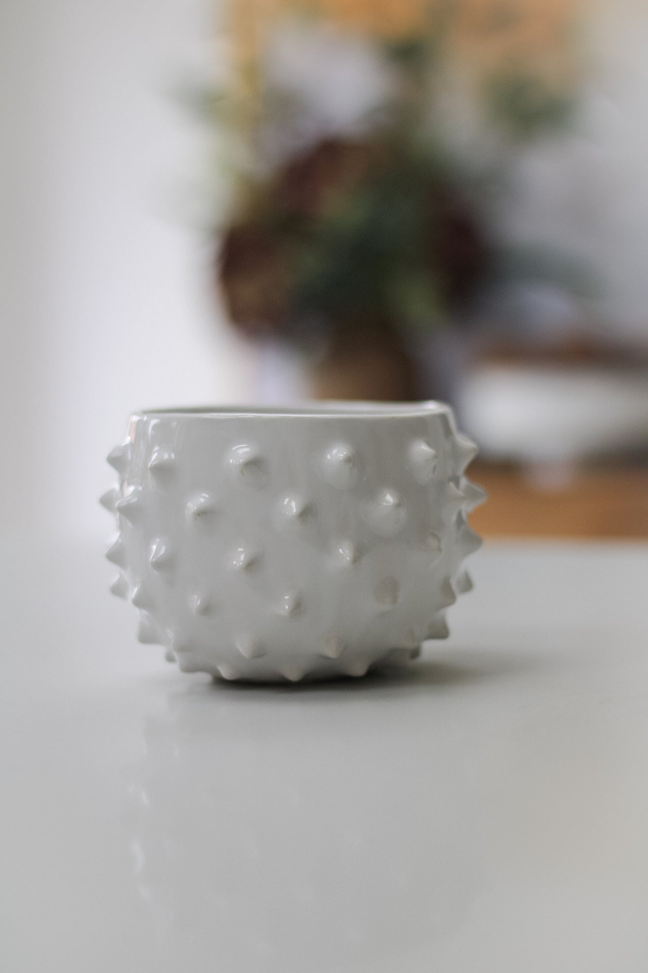 White Spiked Ceramic Planter