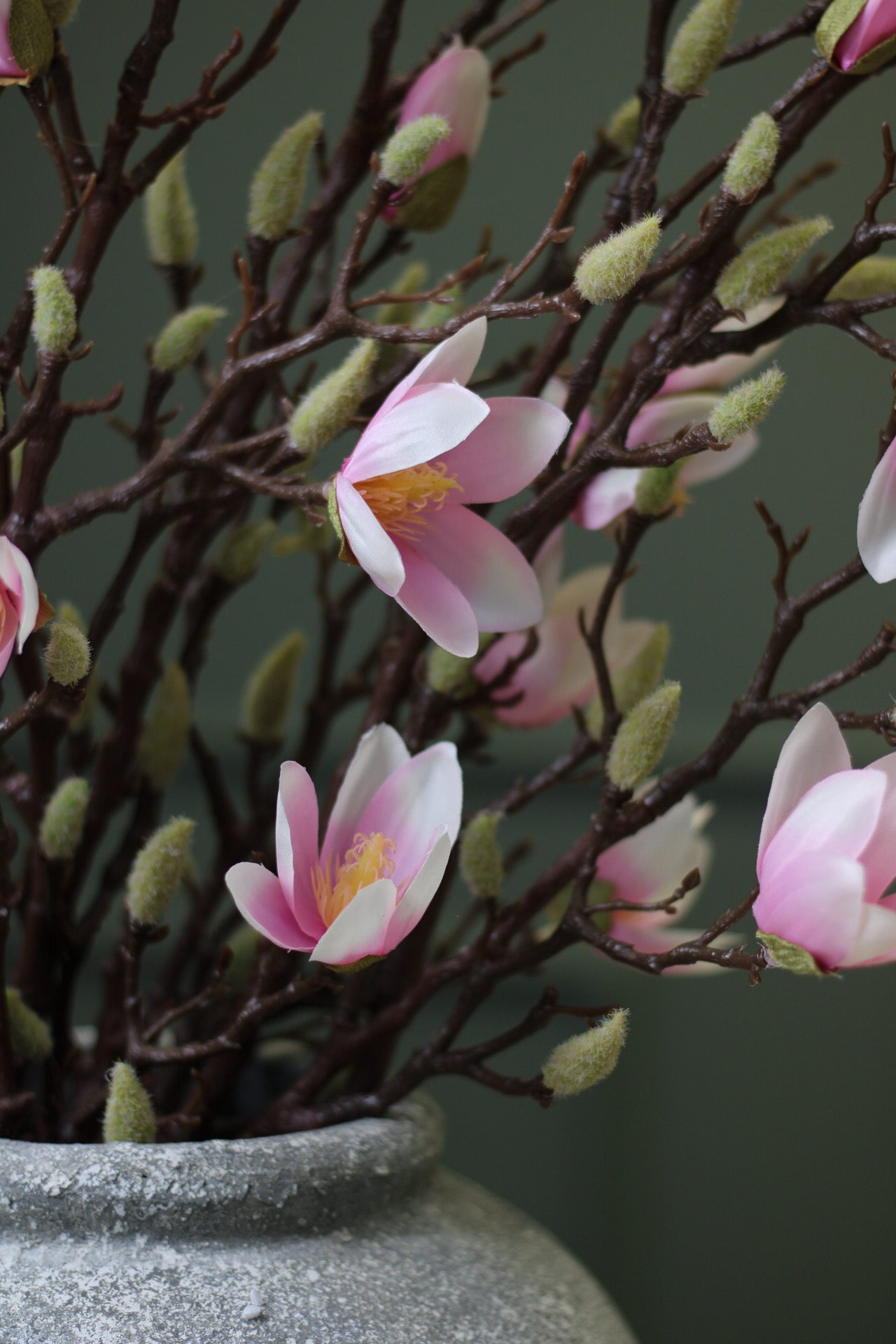 Pale Pink Magnolia Stem