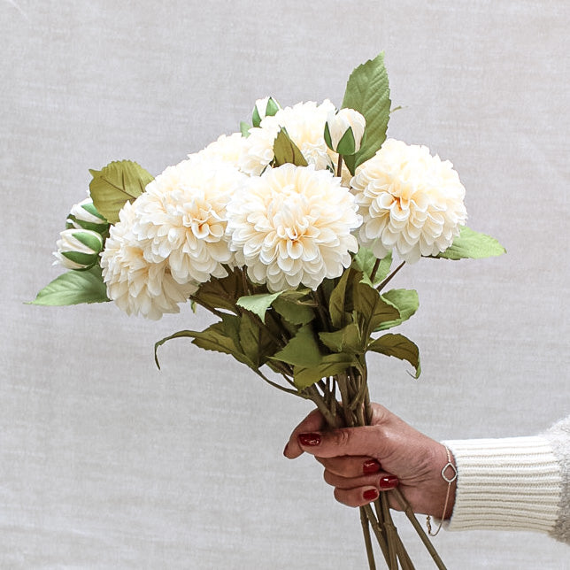 Soft Cream Dahlia Stem