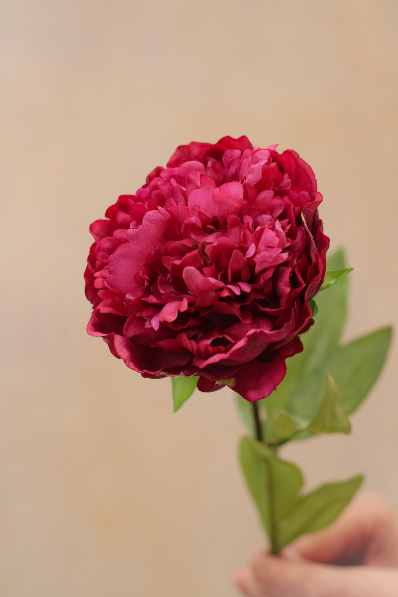Faux Fresh Touch Cerise Peony Stem