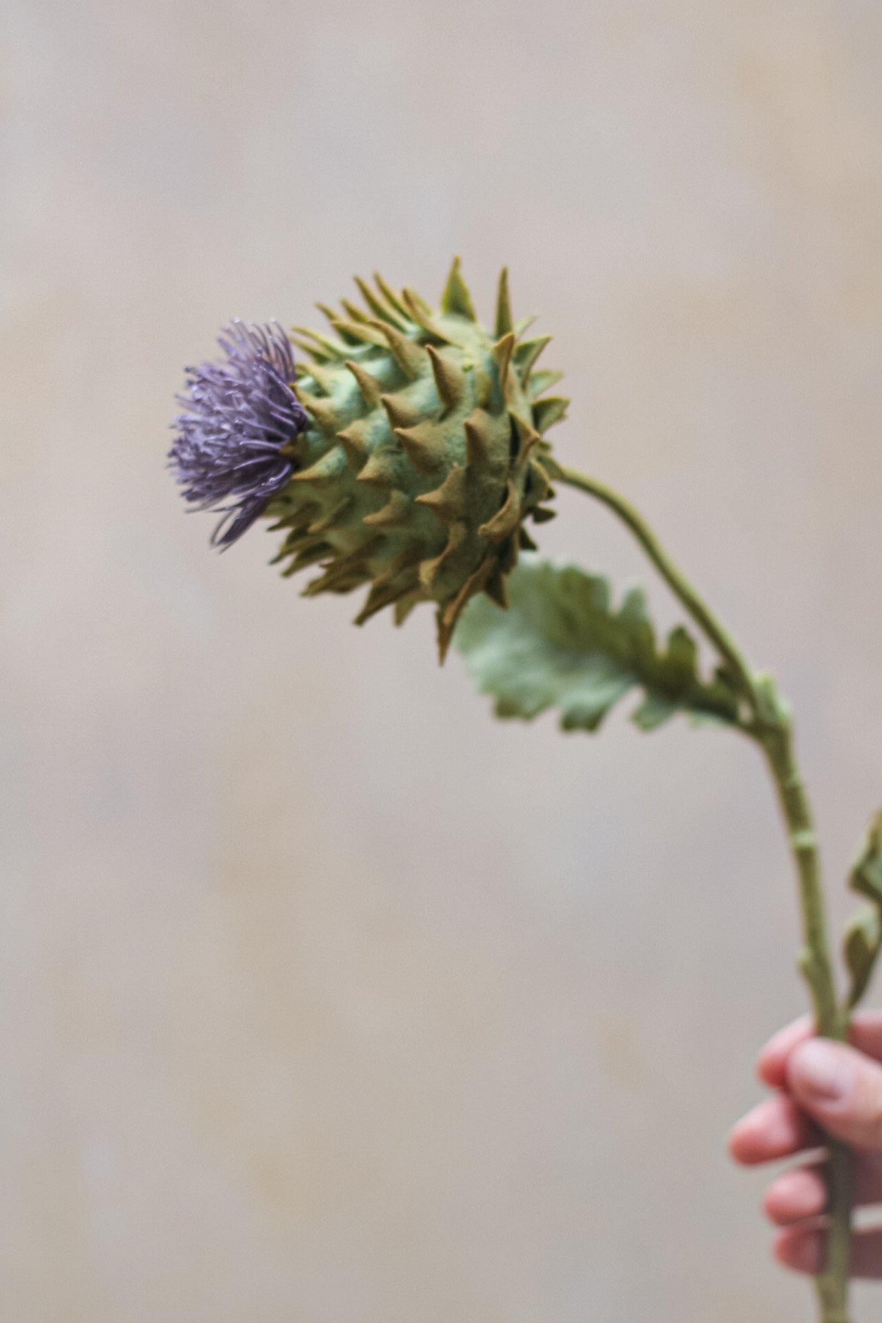 Faux Flocked Thistle Spray with Leaves