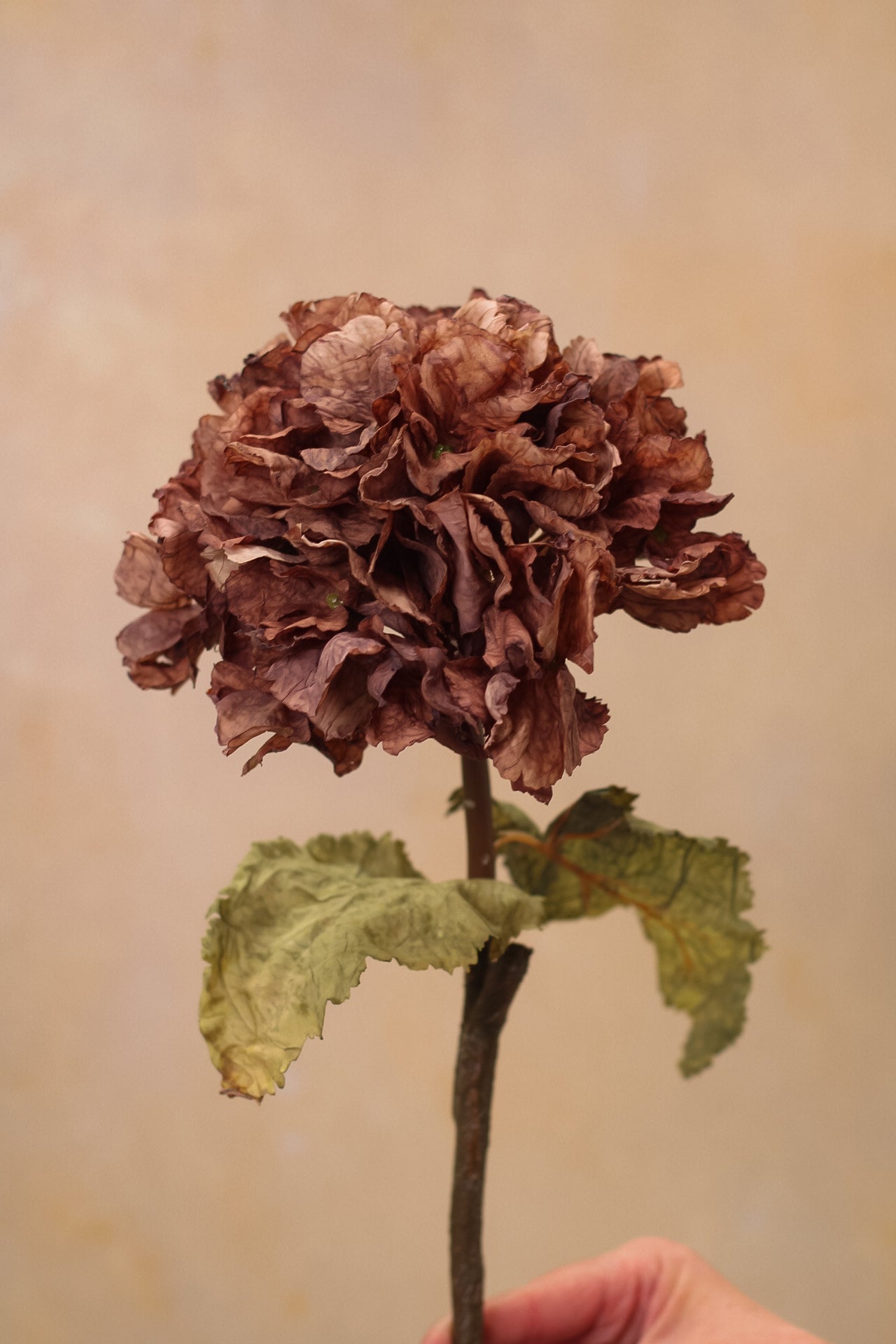 Faux Mocha Dried Touch Ruffle Hydrangea
