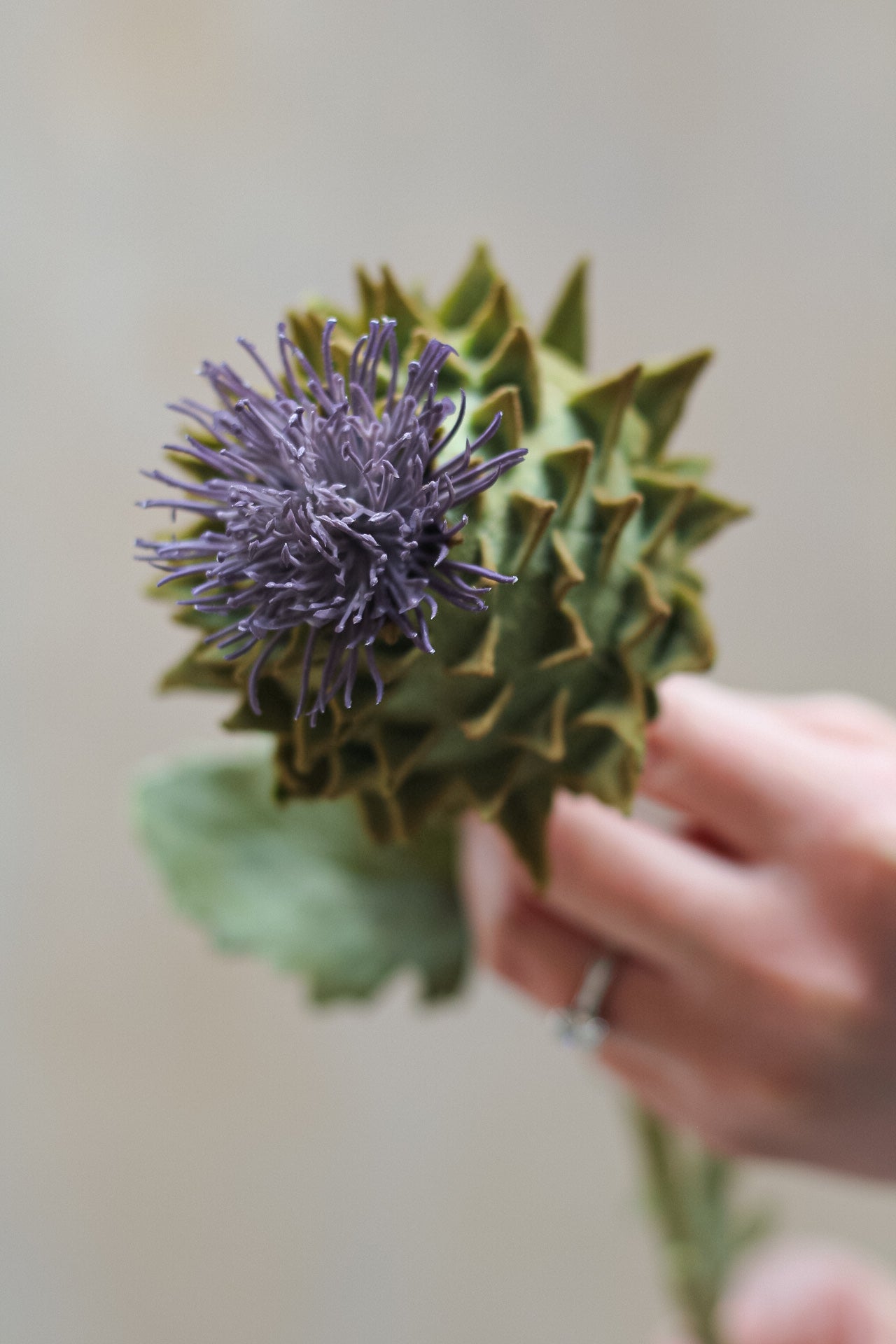 Faux Flocked Thistle Spray with Leaves