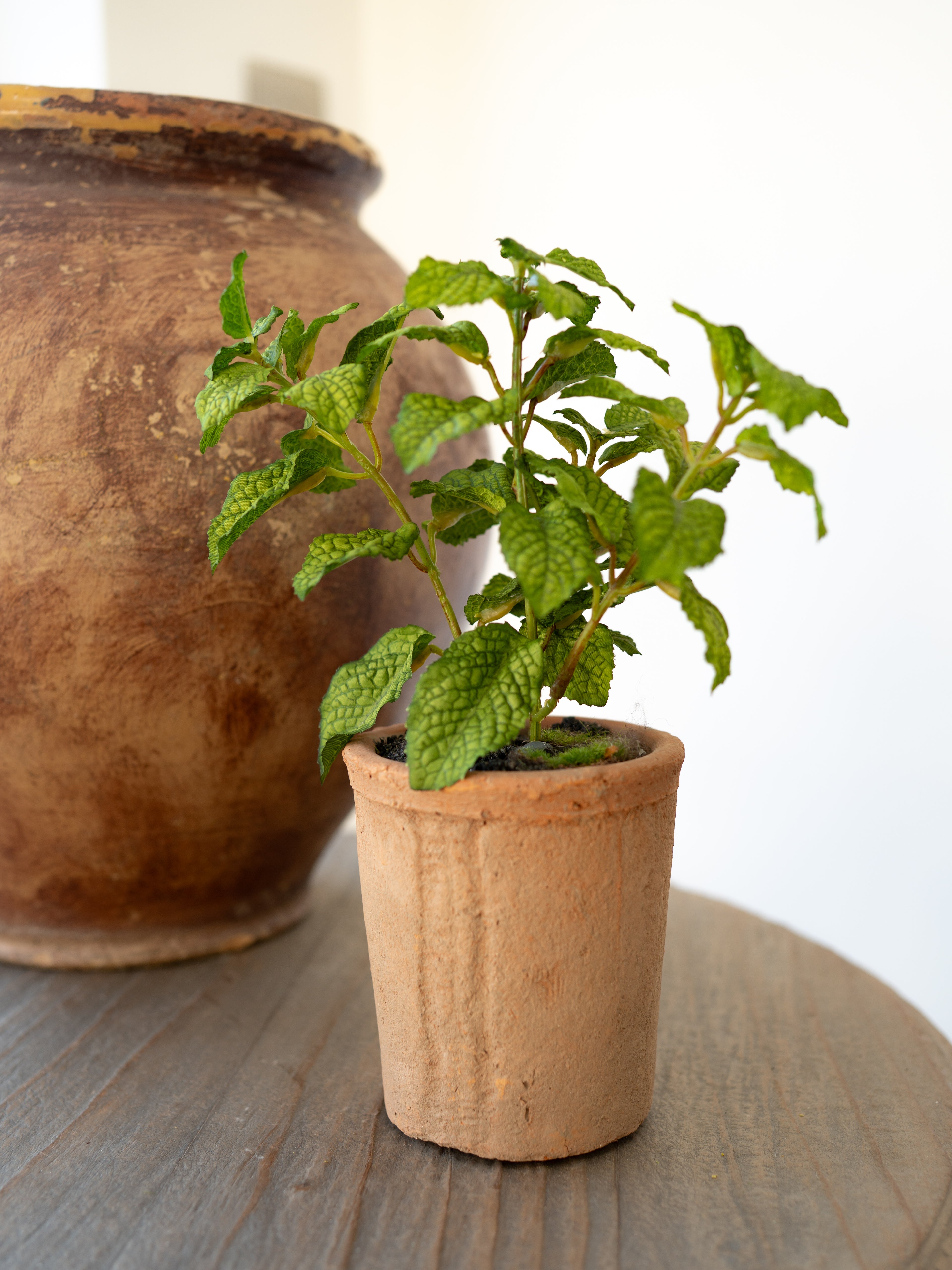 Faux Potted Mint Herb Plant in Terracotta Pot