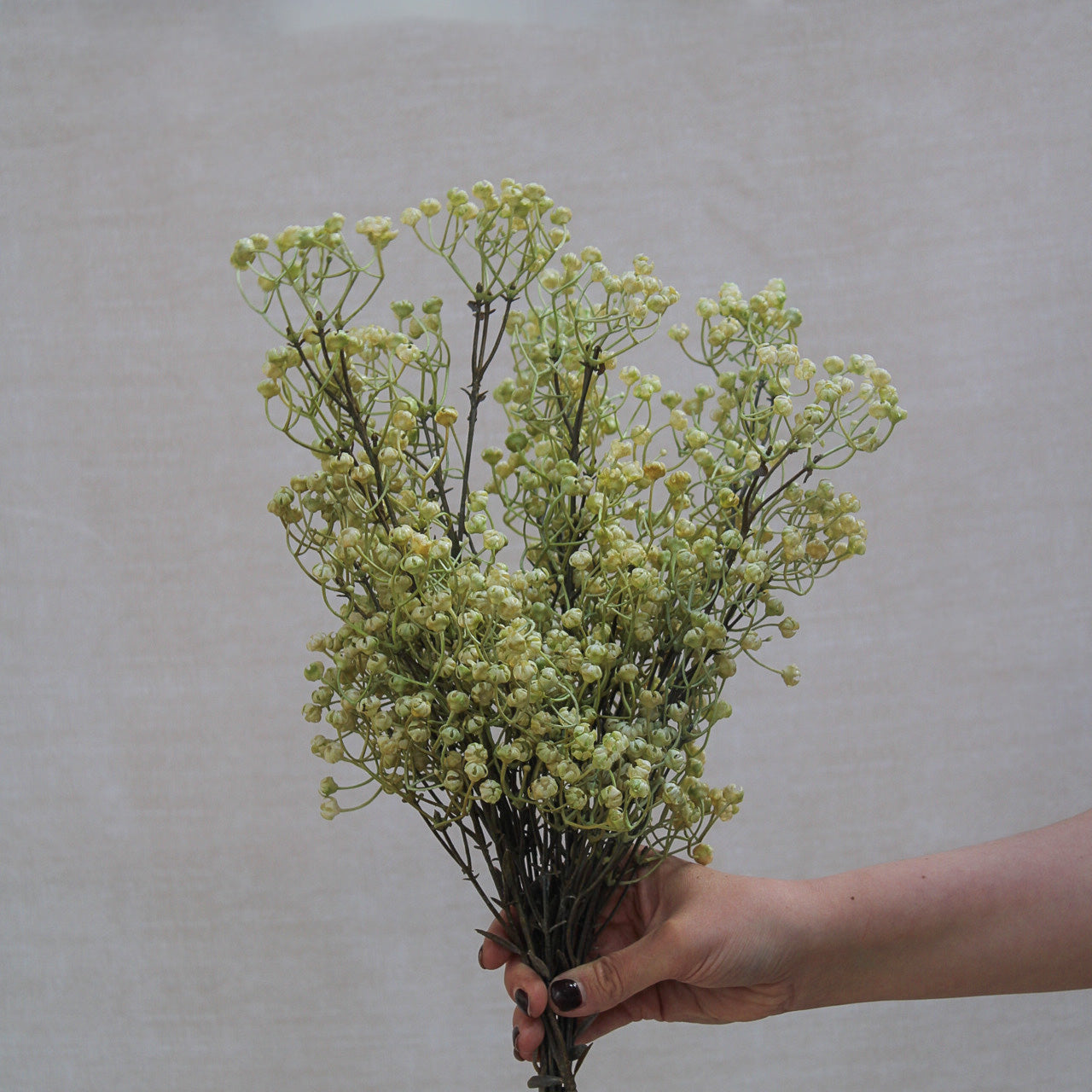 Natural Linum Spray