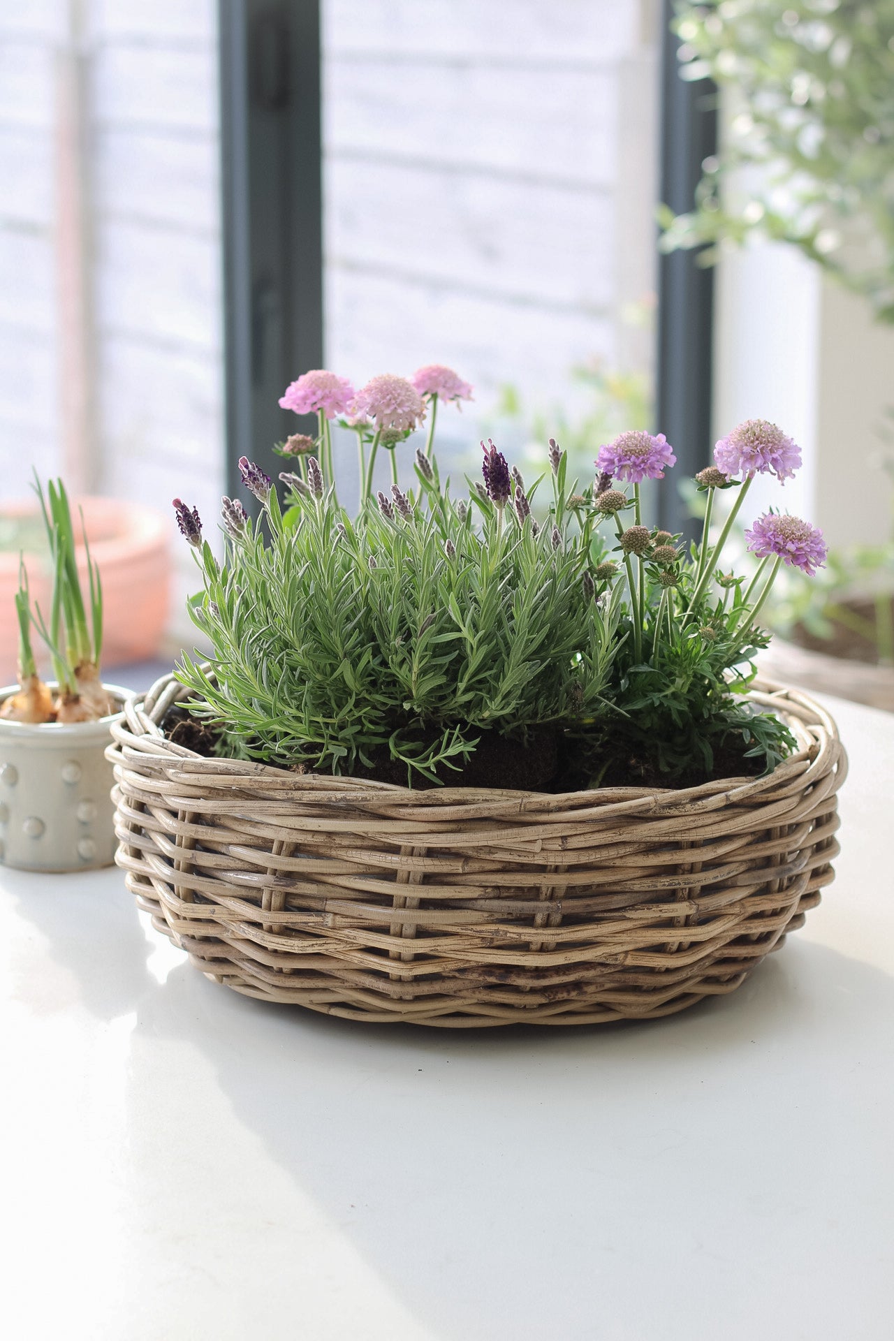 A woven rattan basket planter filled with green plants and purple flowers, placed on a white surface near a window.