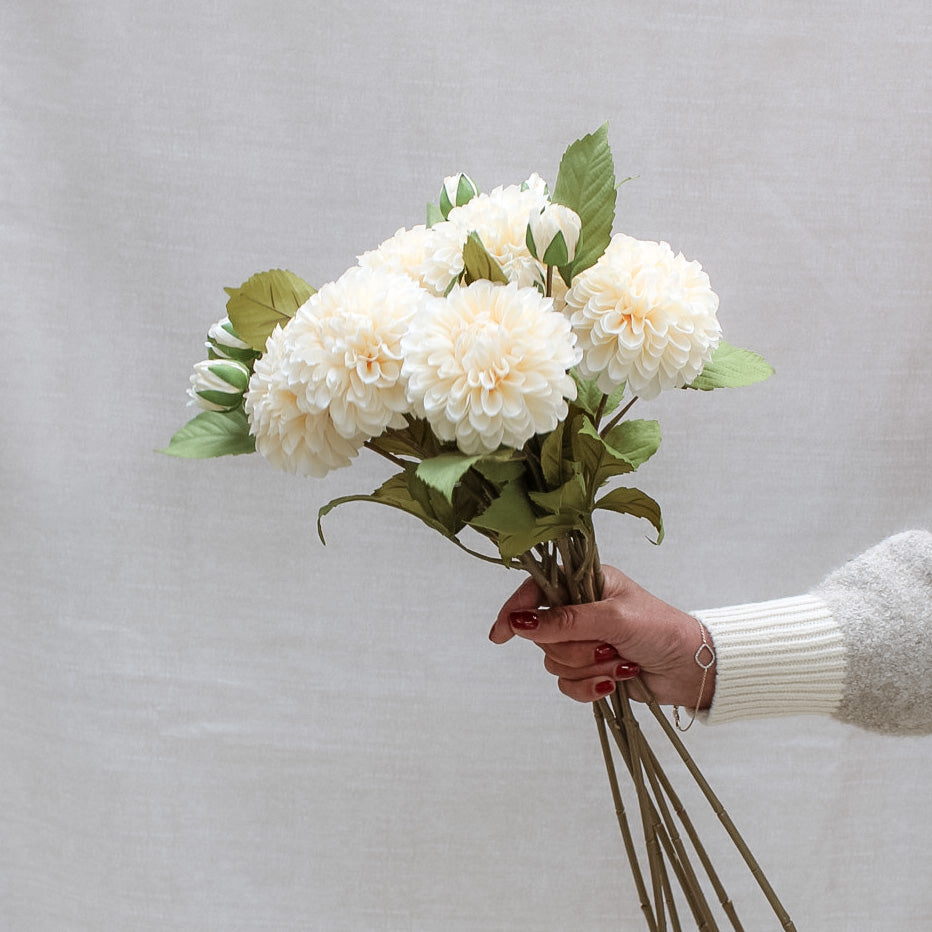 Soft Cream Dahlia Stem