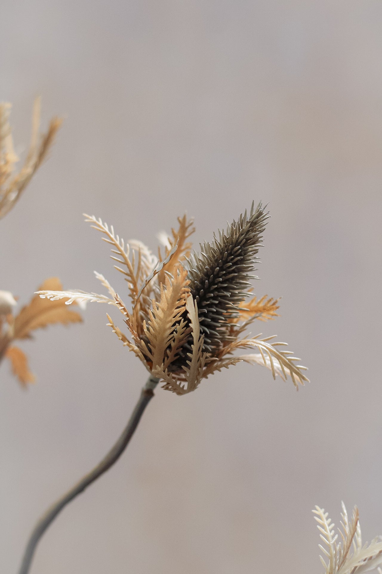Faux Brown Dry Look Thistle Spray with Leaves