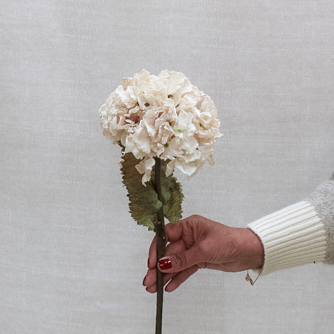 Nude Dried Touch Ruffle Hydrangea | Bundle of 3