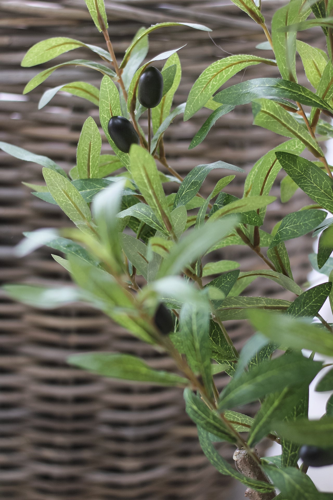 Small Faux Olive Tree