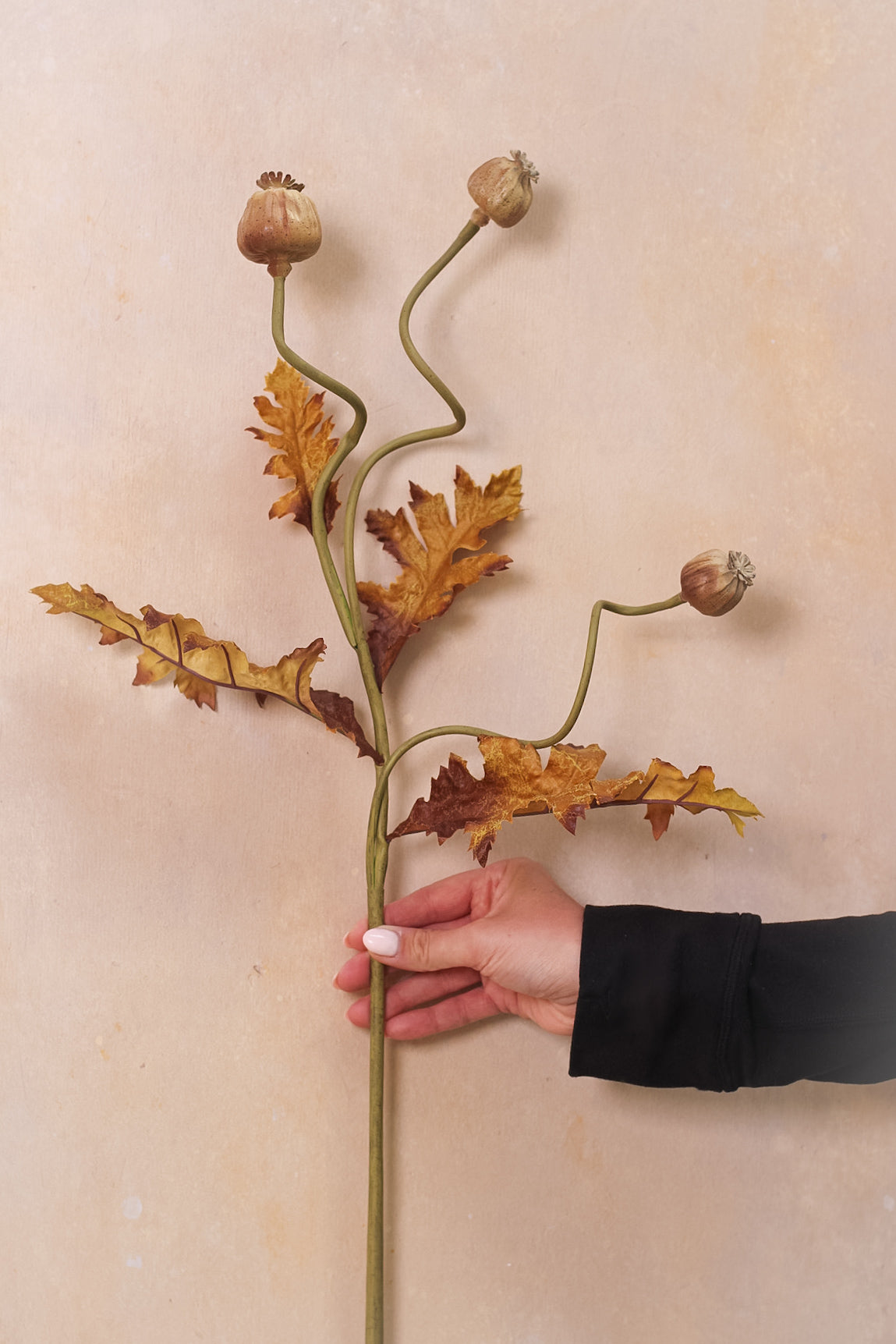 Faux Brown and Blush Poppy Head Stem