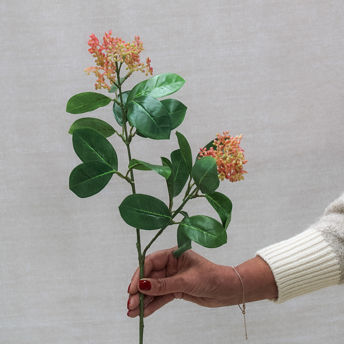 Pink Skimmia Stem