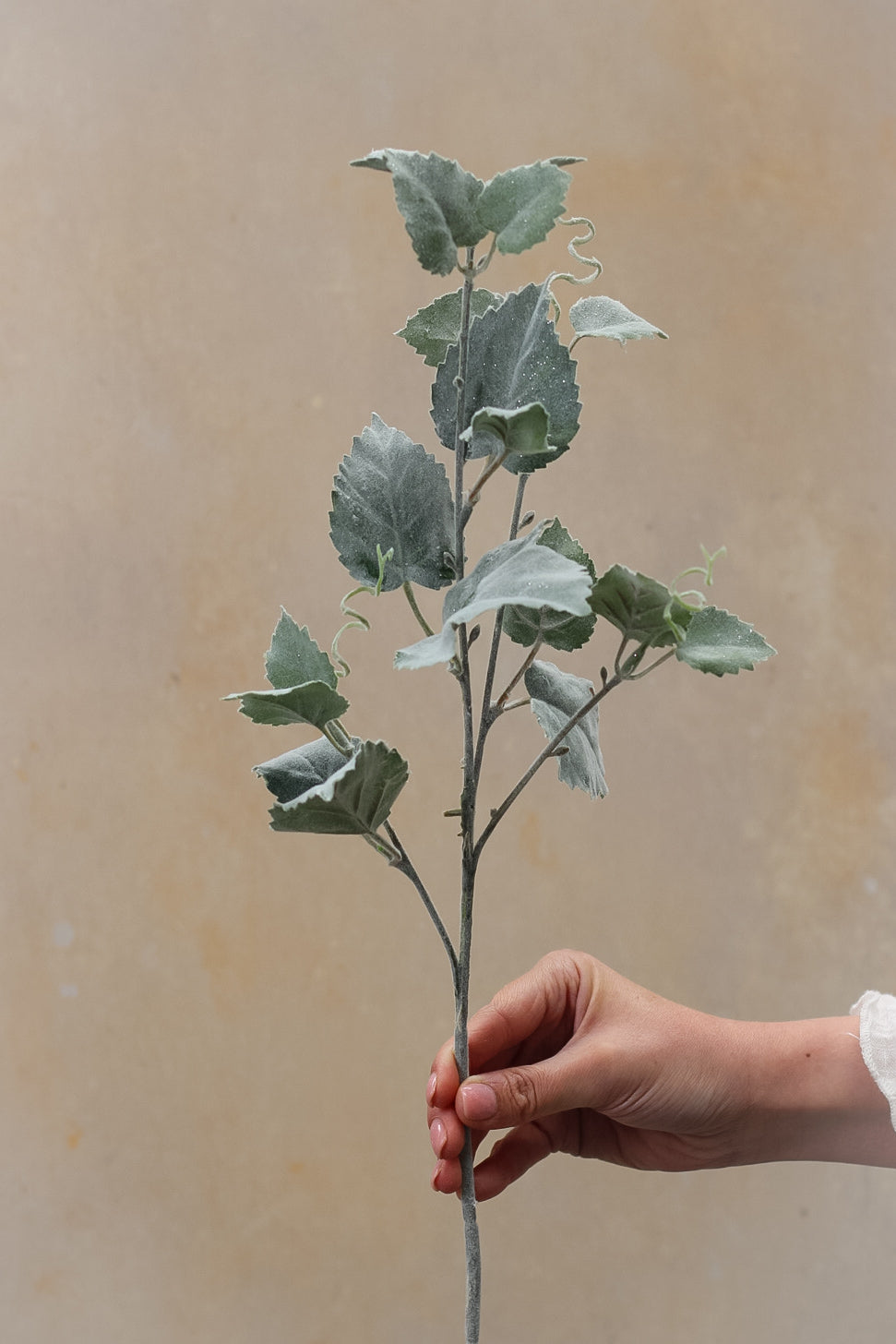 Flocked Hop Leaf Spray