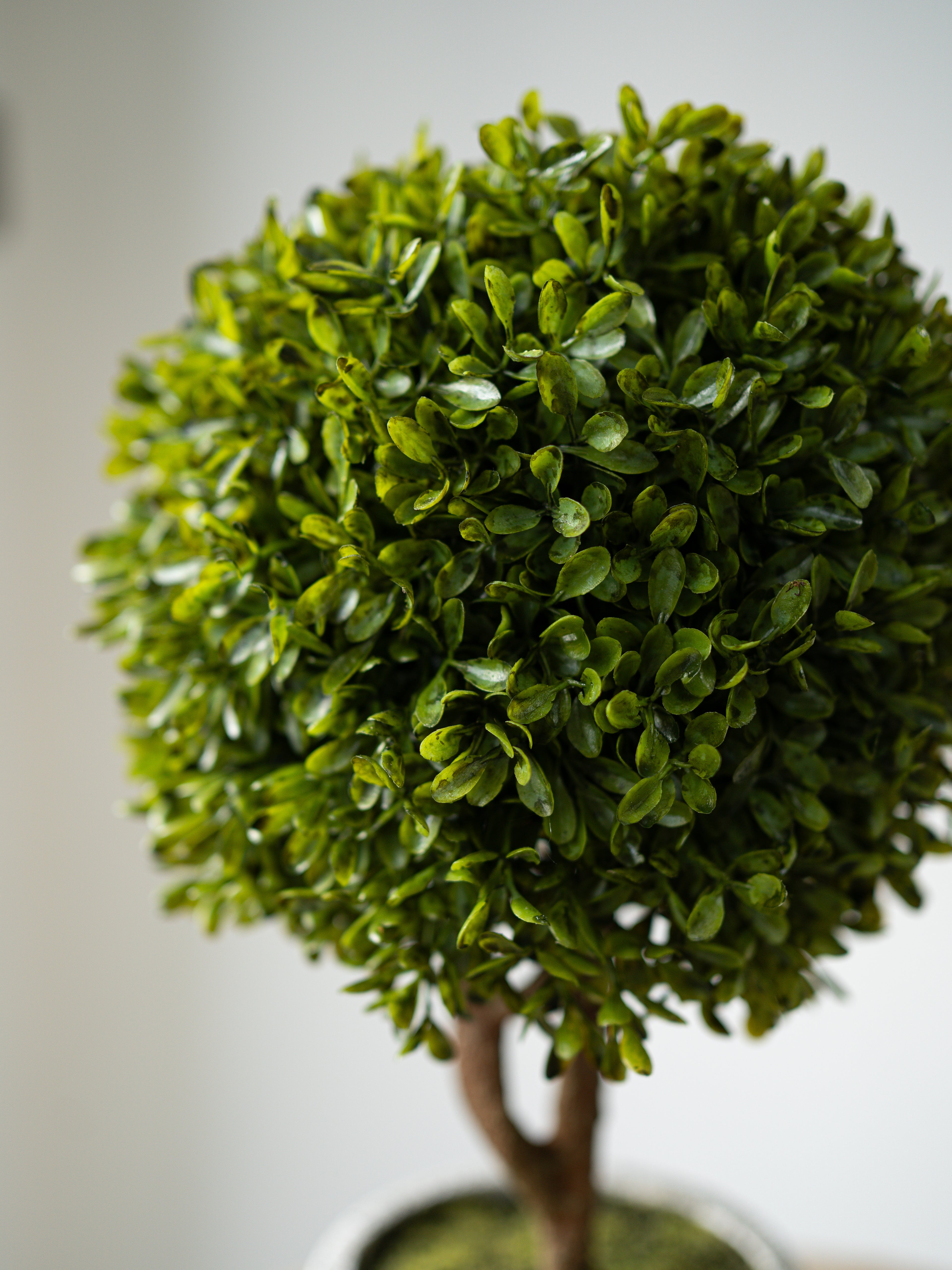 Faux Green Boxwood Ball Plant in Stone Effect Pot