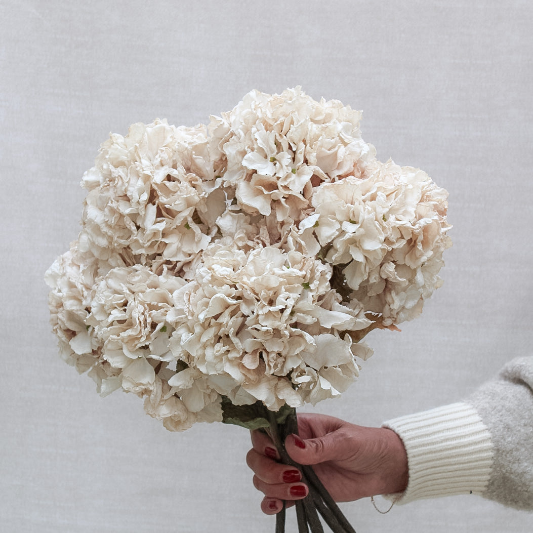 Nude Dried Touch Ruffle Hydrangea | Bundle of 3