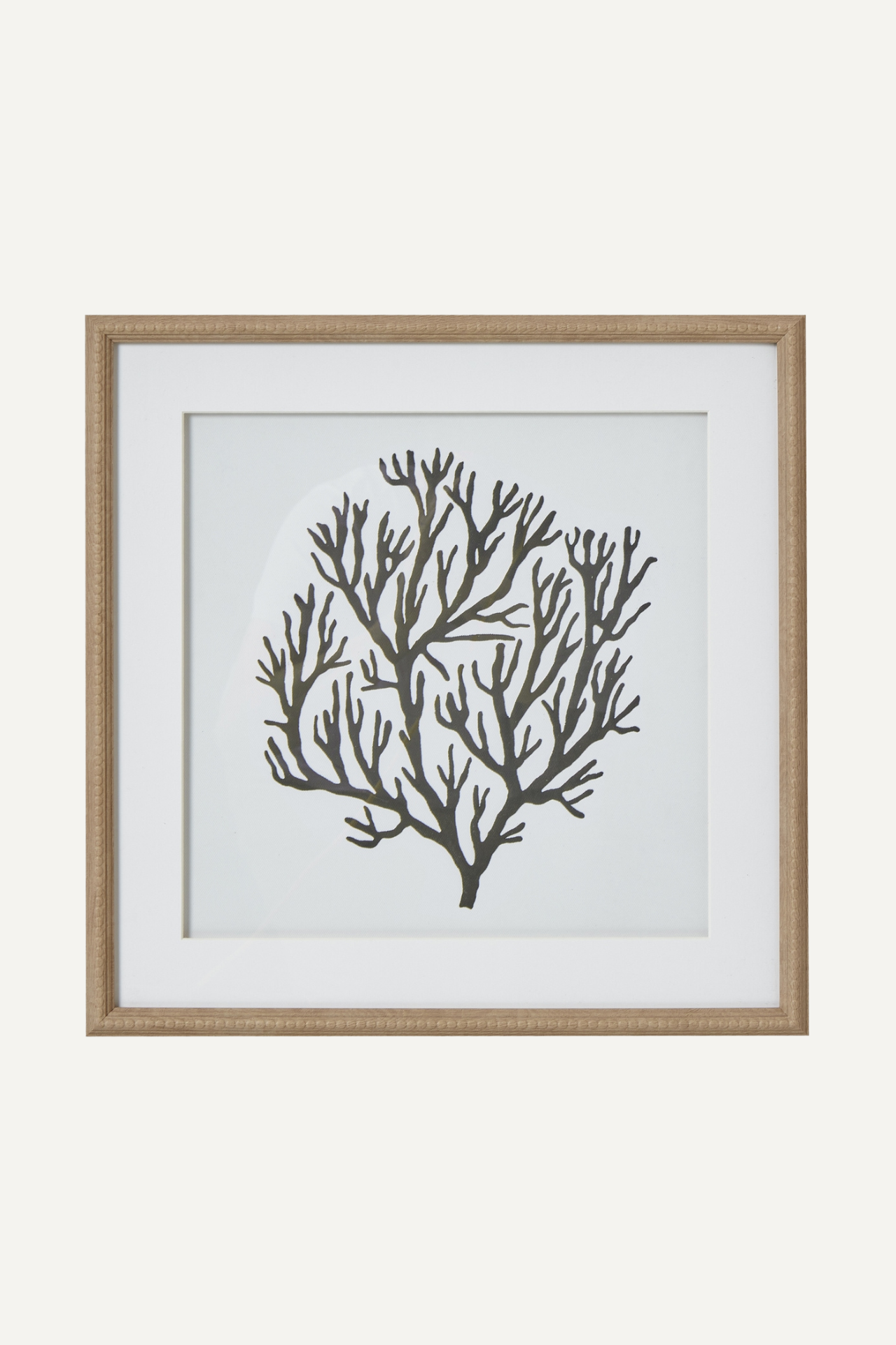 Atol Coral Wall Art in Natural Beaded Frame