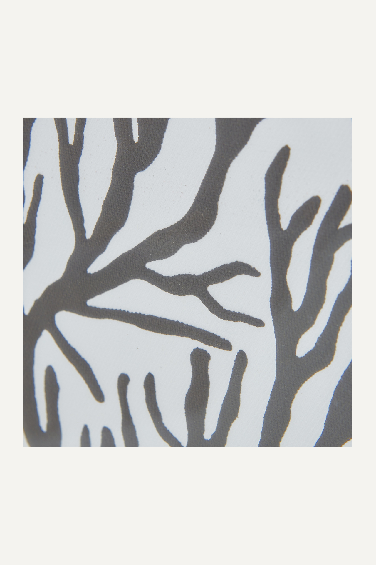 Atol Coral Wall Art in Natural Beaded Frame