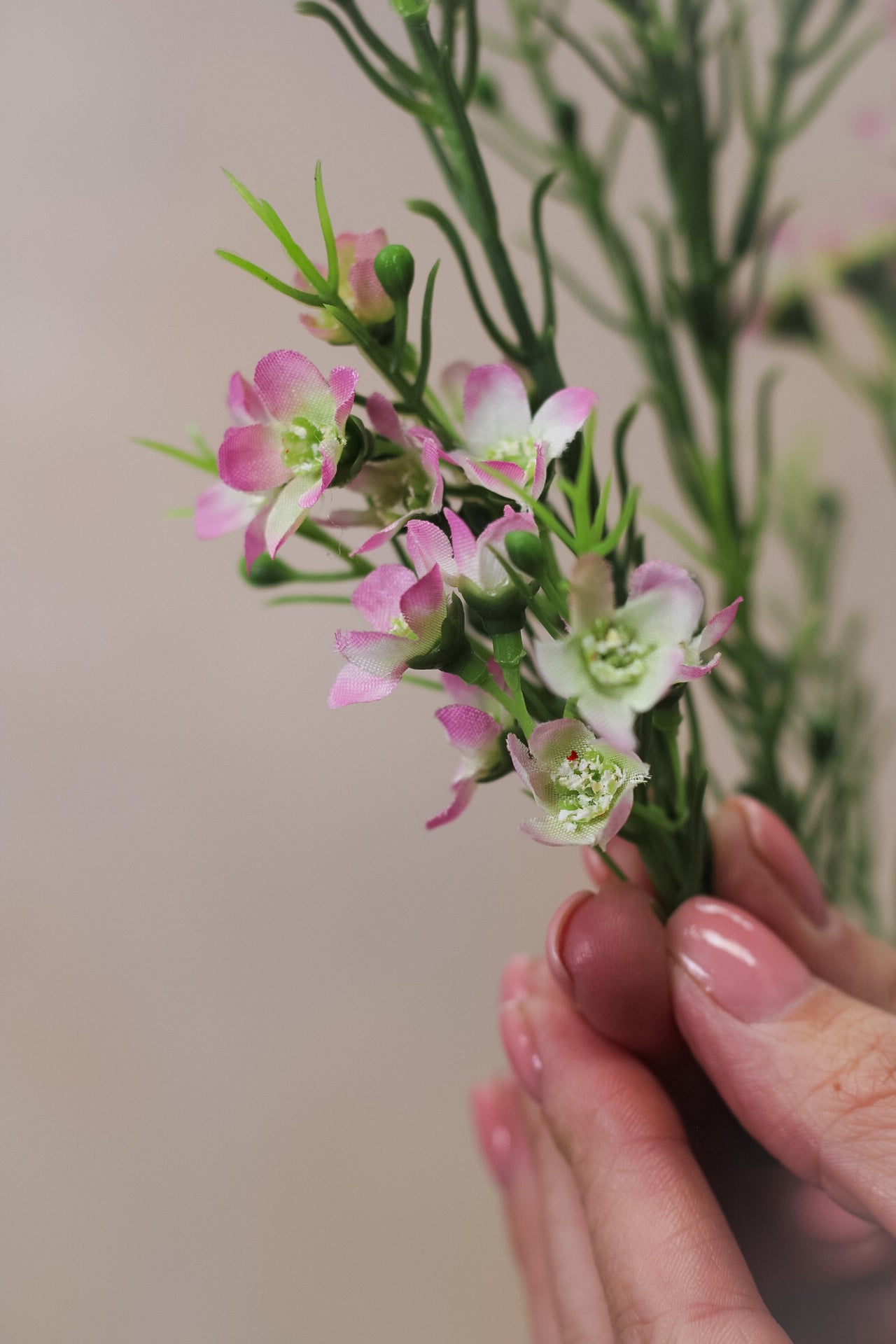 Faux Pale Pink Wintersweet Spray