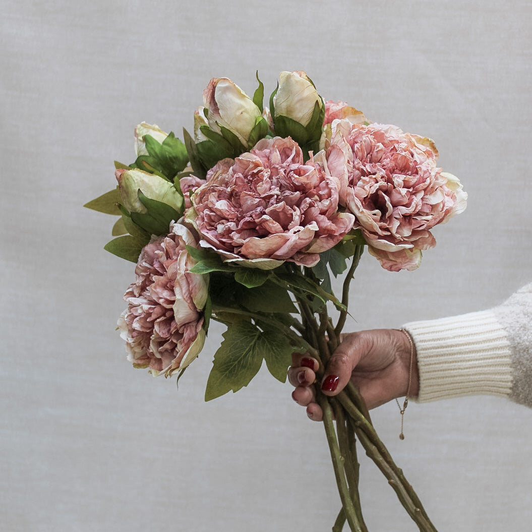Dried Touch Blush Pink Peony Stem | Bundle of 3