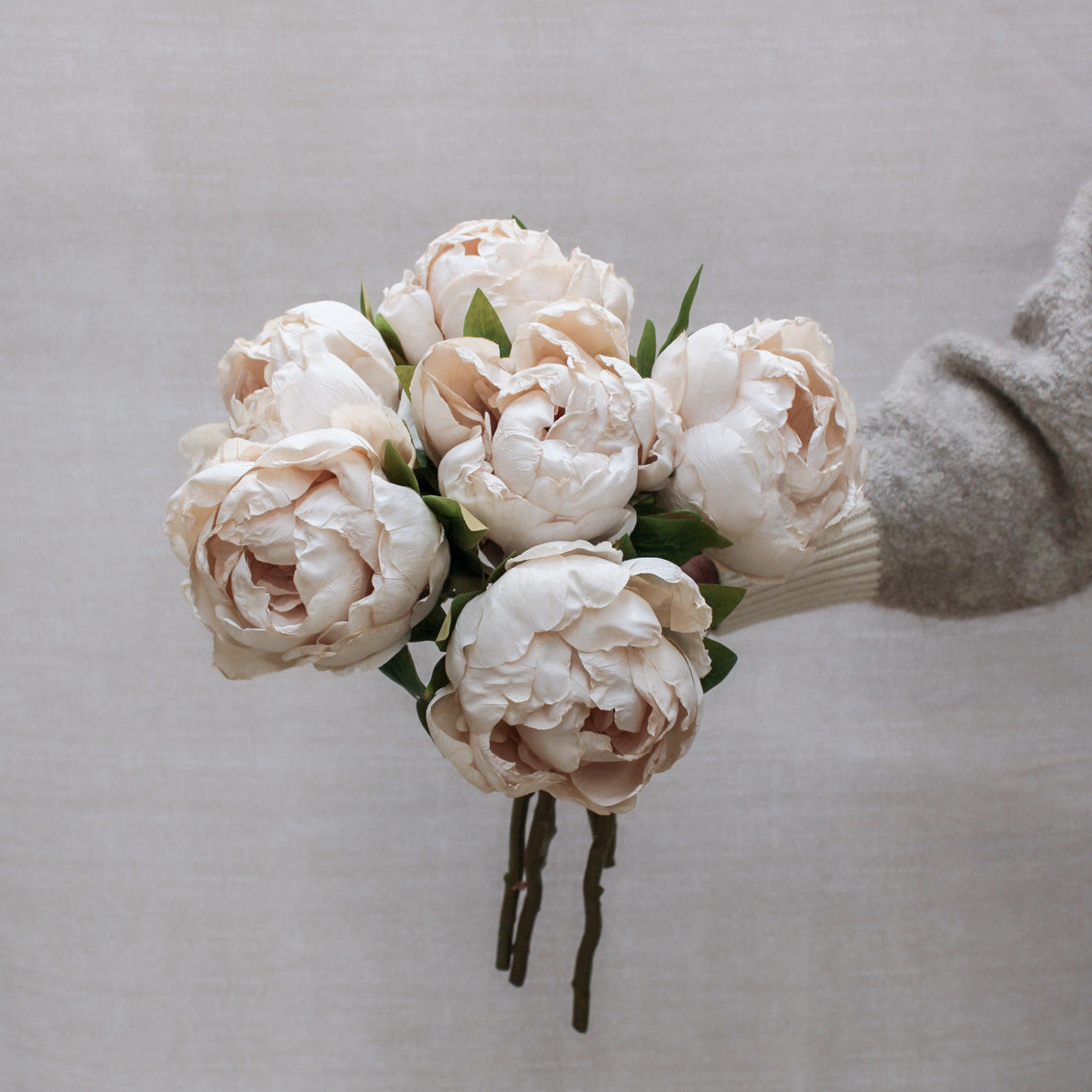 Nude Dried Touch Closed Peony Stem