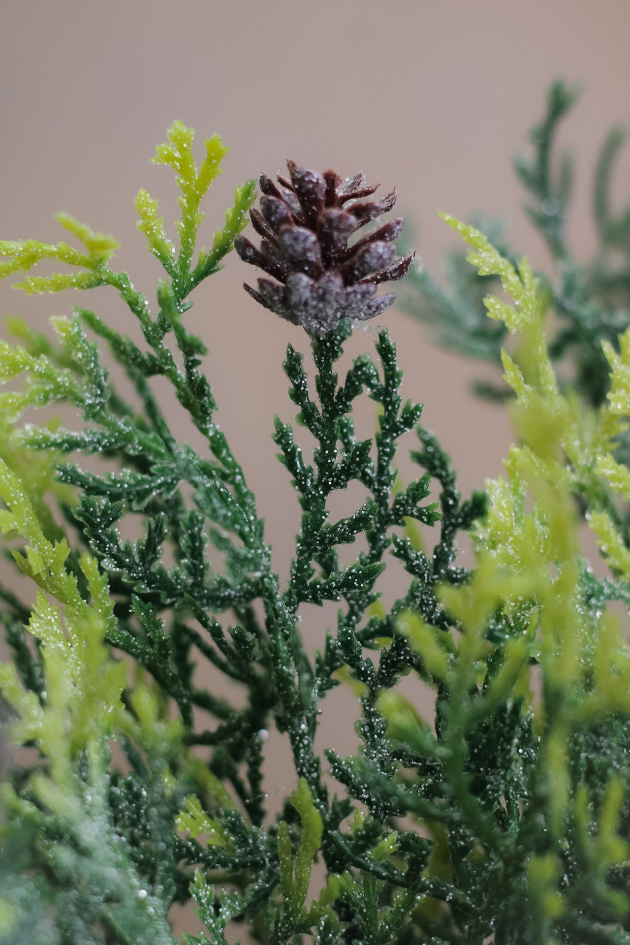 Glitter Pine Spray with Cones