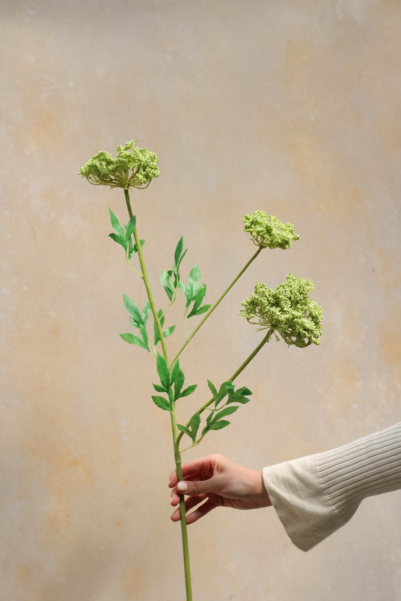 Luxury Faux Cow Parsley Spray